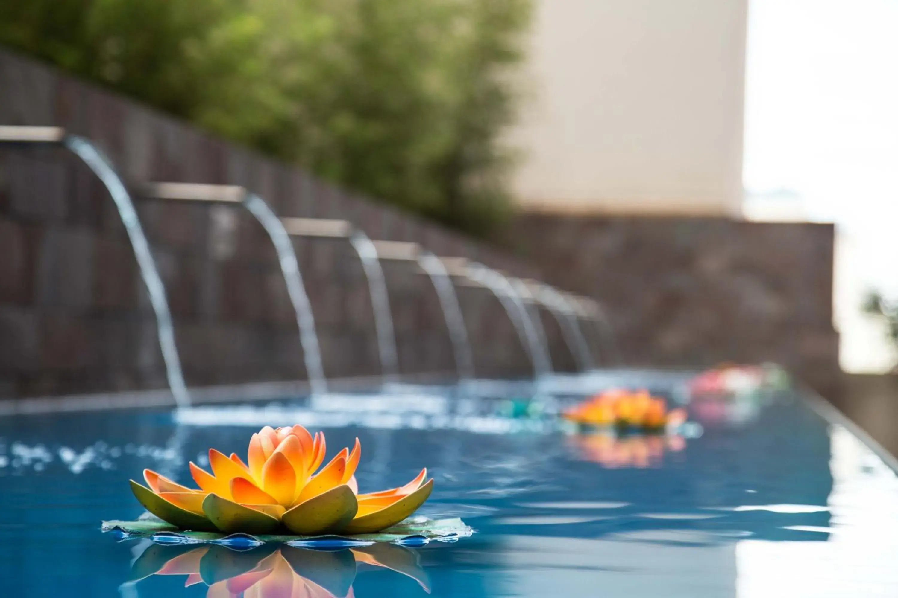 Spa and wellness centre/facilities in King David Flat Hotel - Argentina Spa and wellness centre/facilities in King David Flat Hotel - Argentina