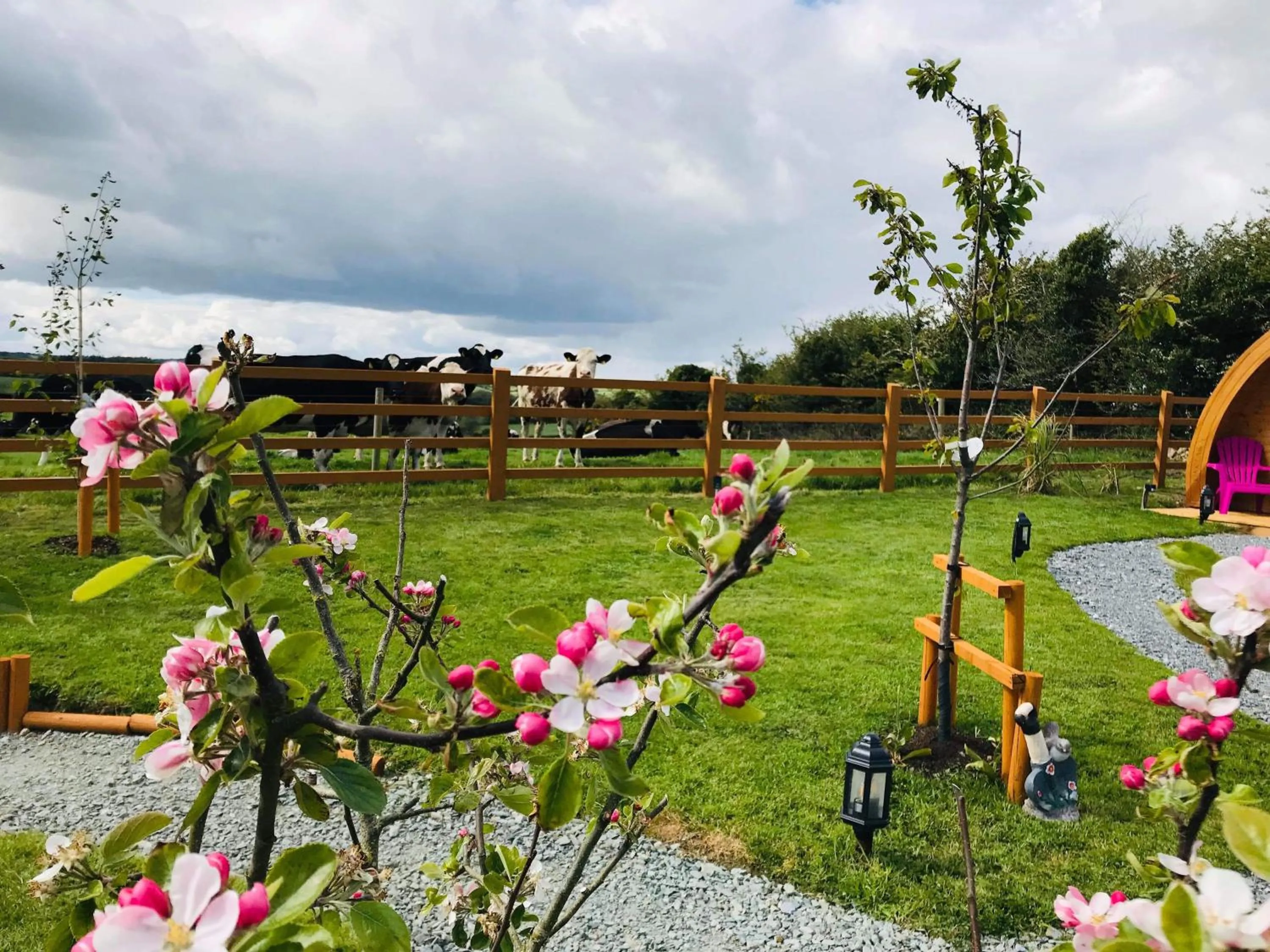 Clonakilty Accommodation