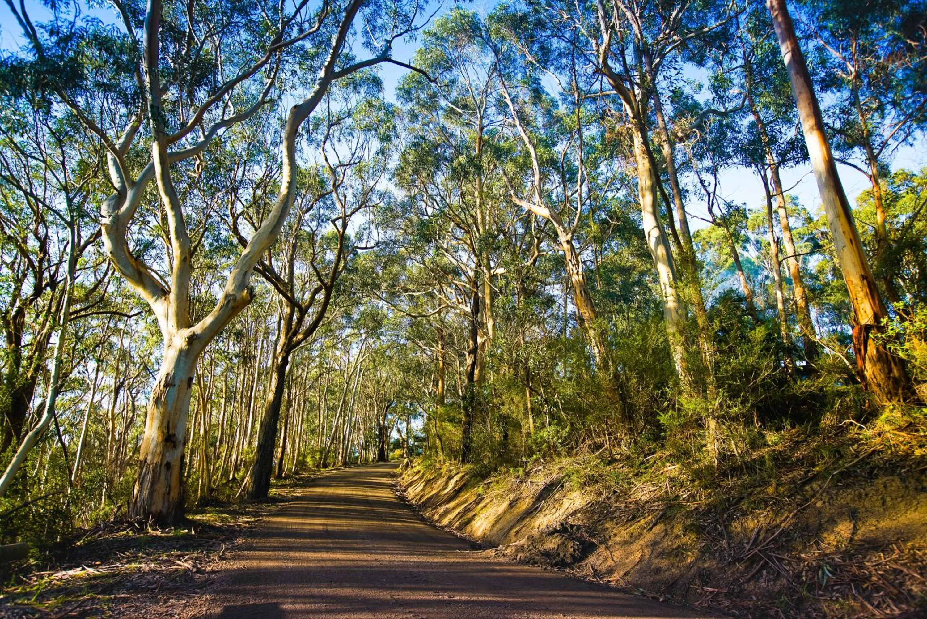 Beacon Point Ocean View Villas