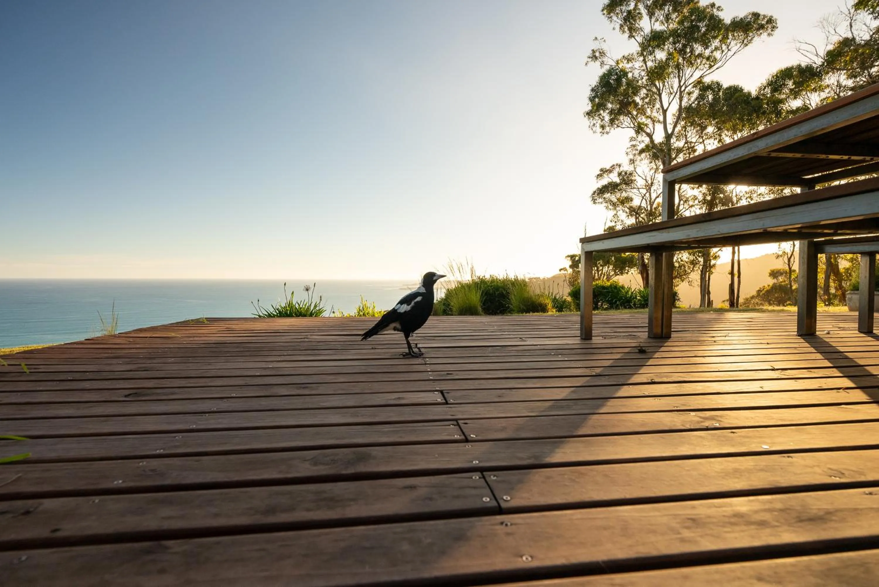 Natural landscape in Beacon Point Ocean View Villas