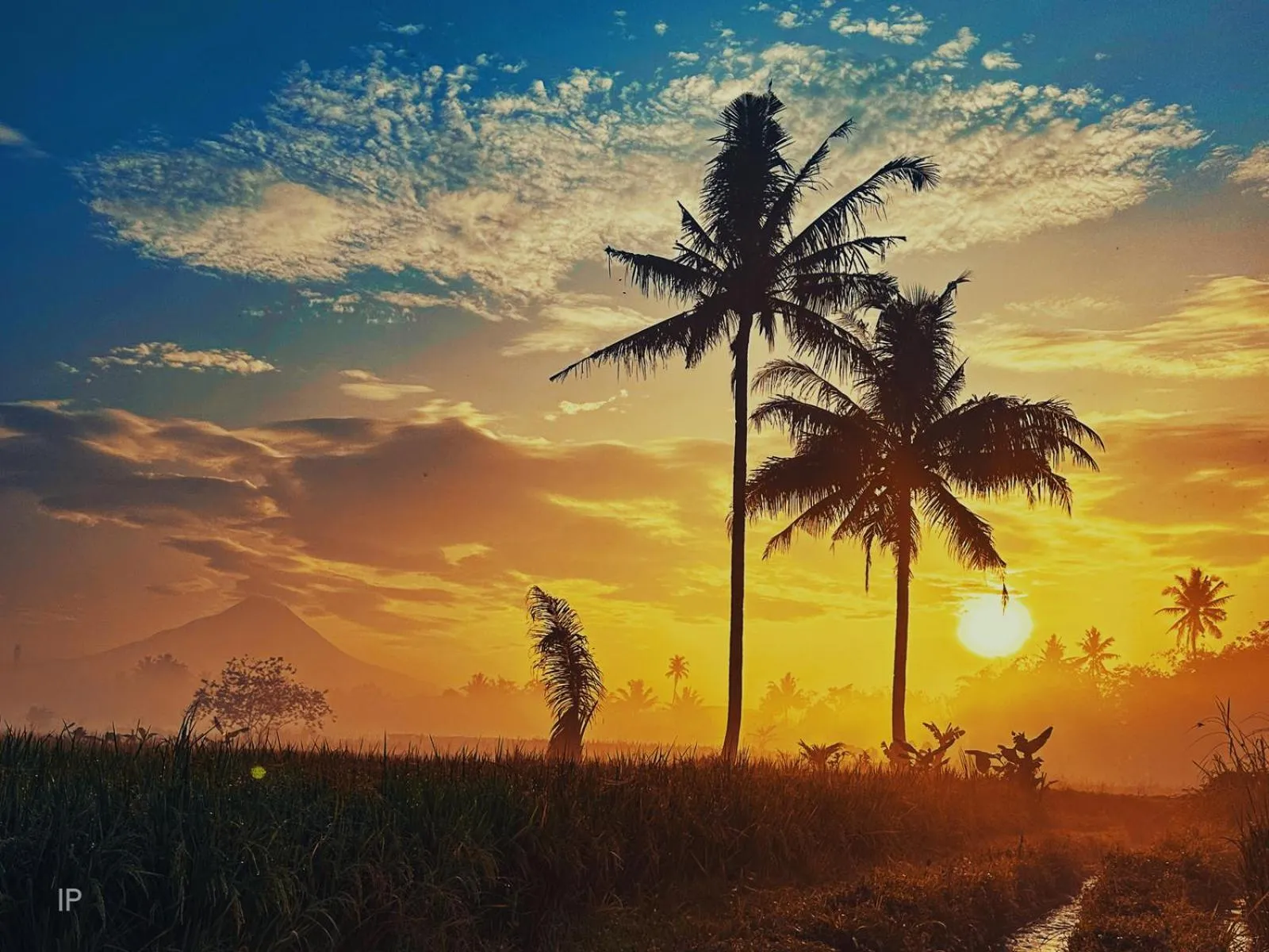 Nearby landmark in Villa Borobudur Resort