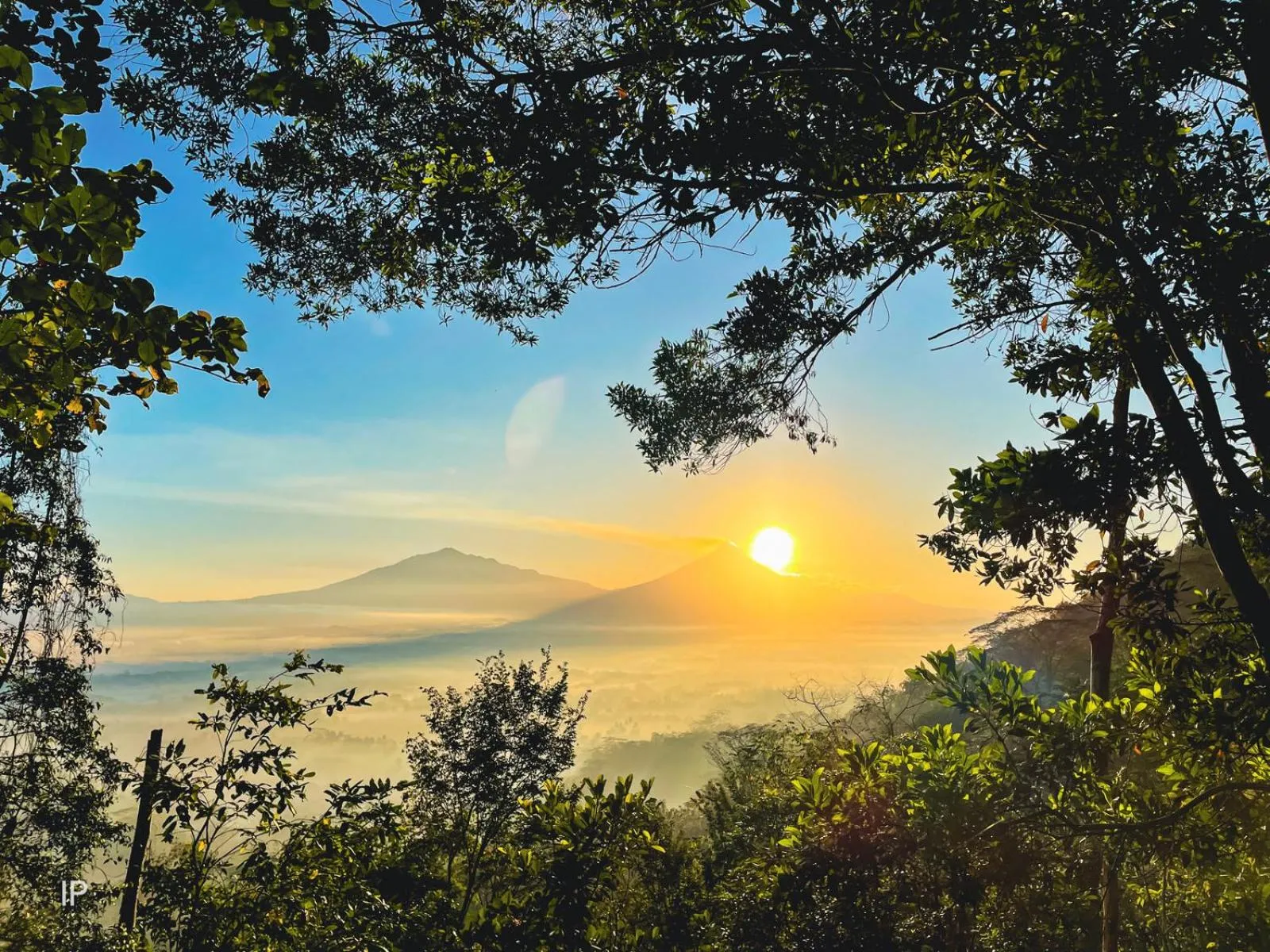 Natural landscape in Villa Borobudur Resort
