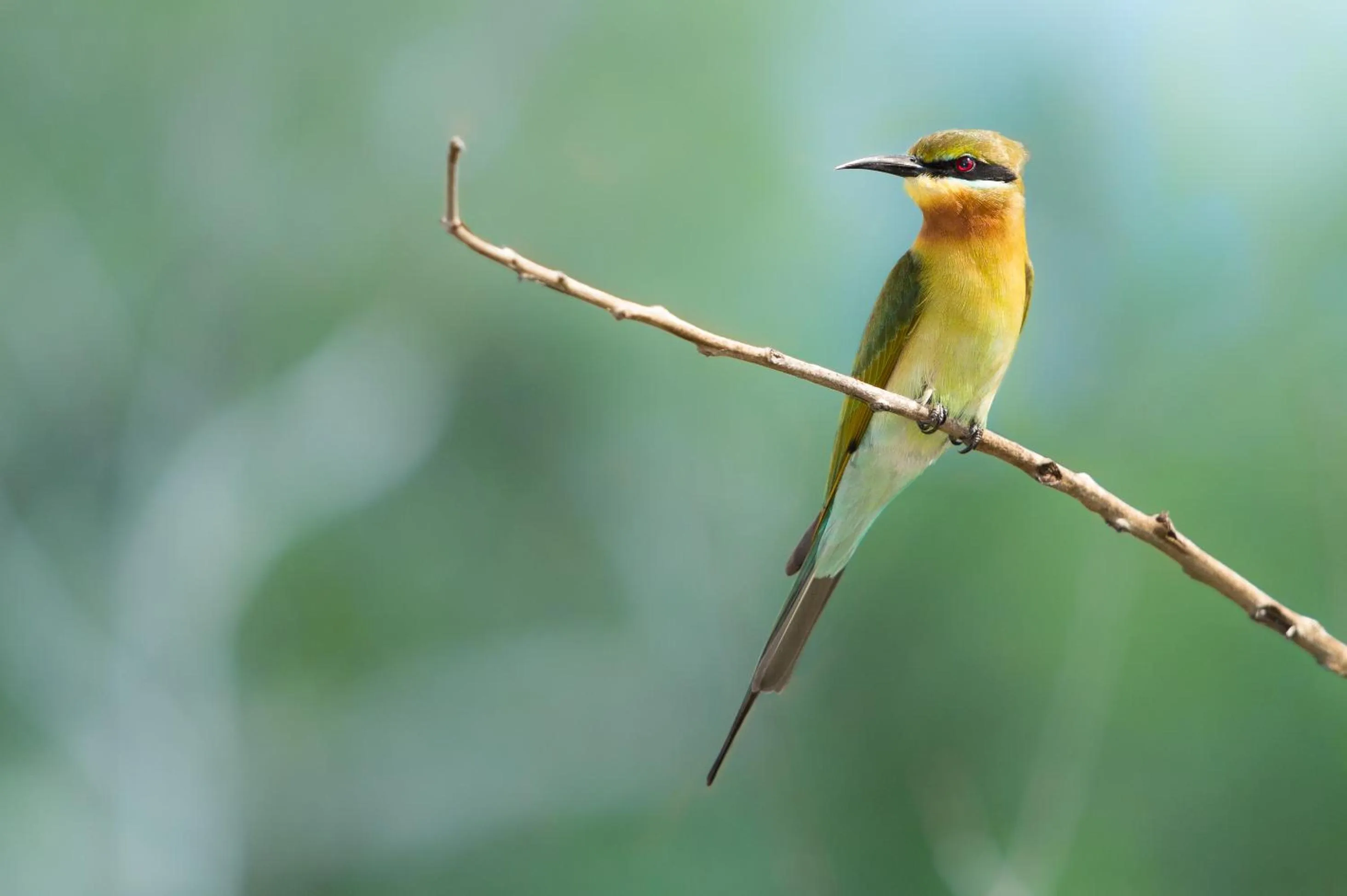 Off site in Mahoora Udawalawe - by Eco Team
