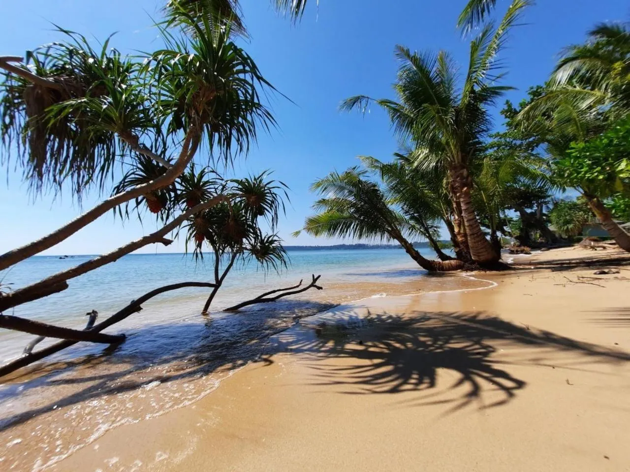 Plub Pla Koh Mak Retreat