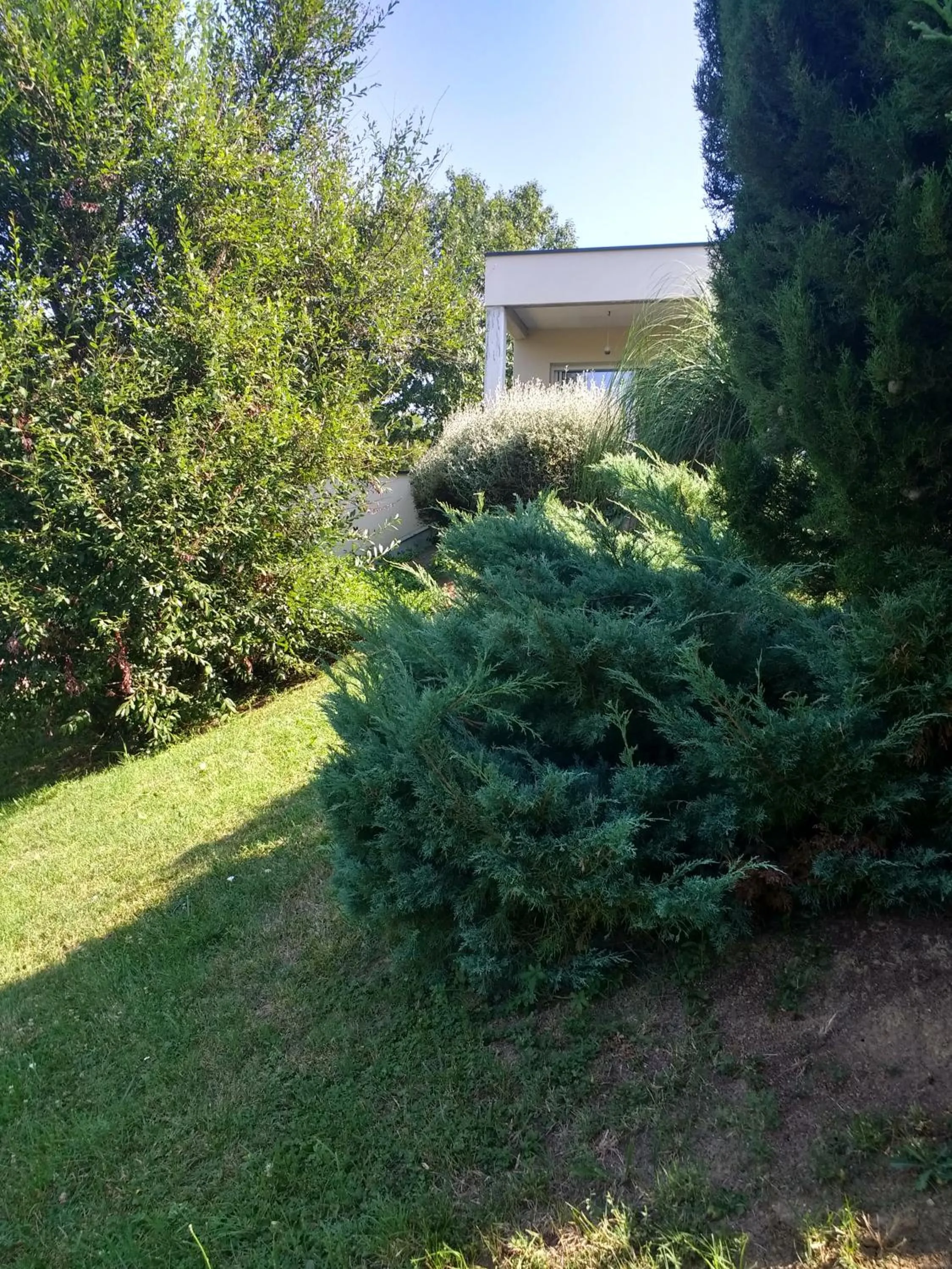 Garden in villa terrefort