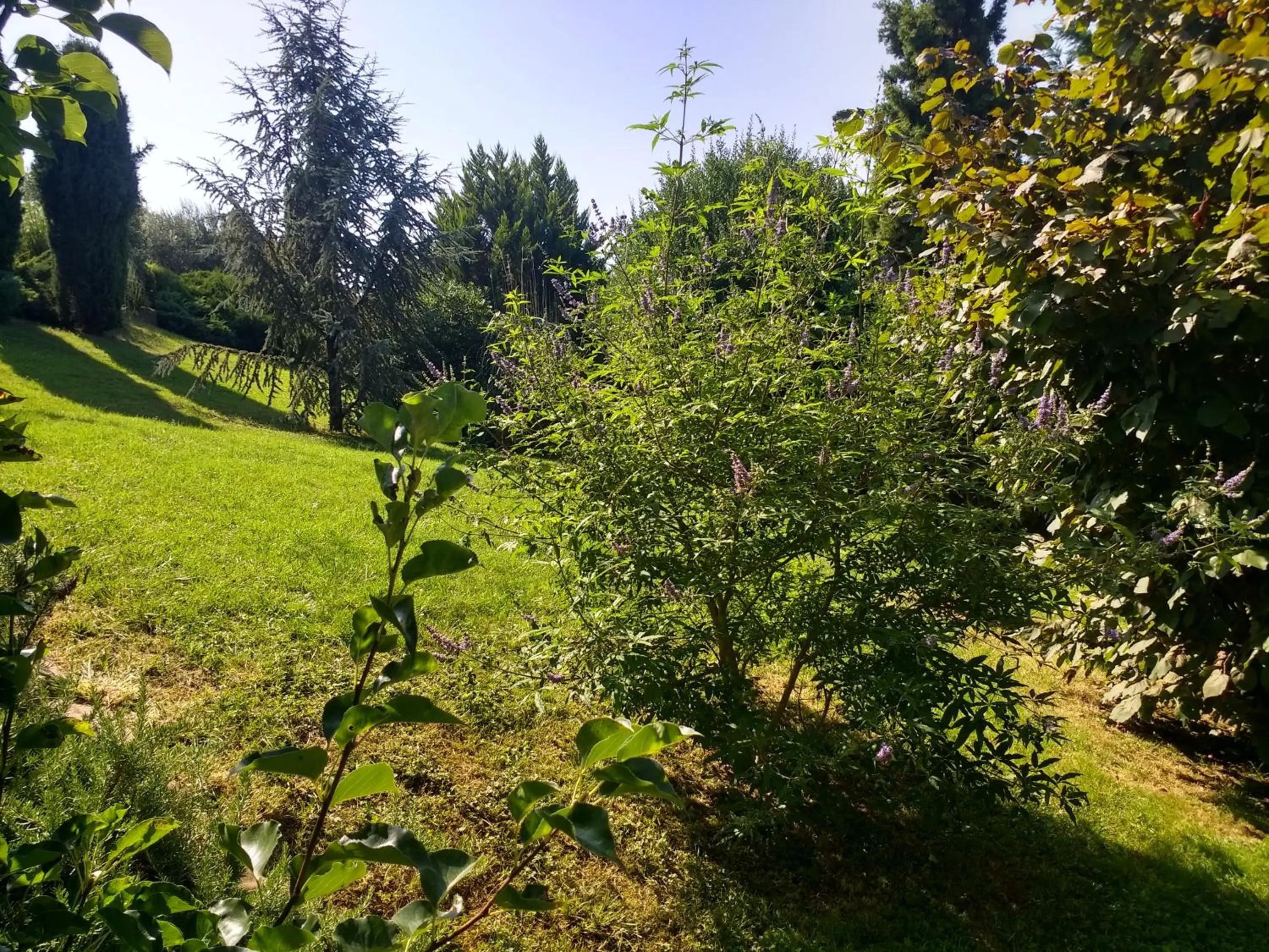 Garden in villa terrefort