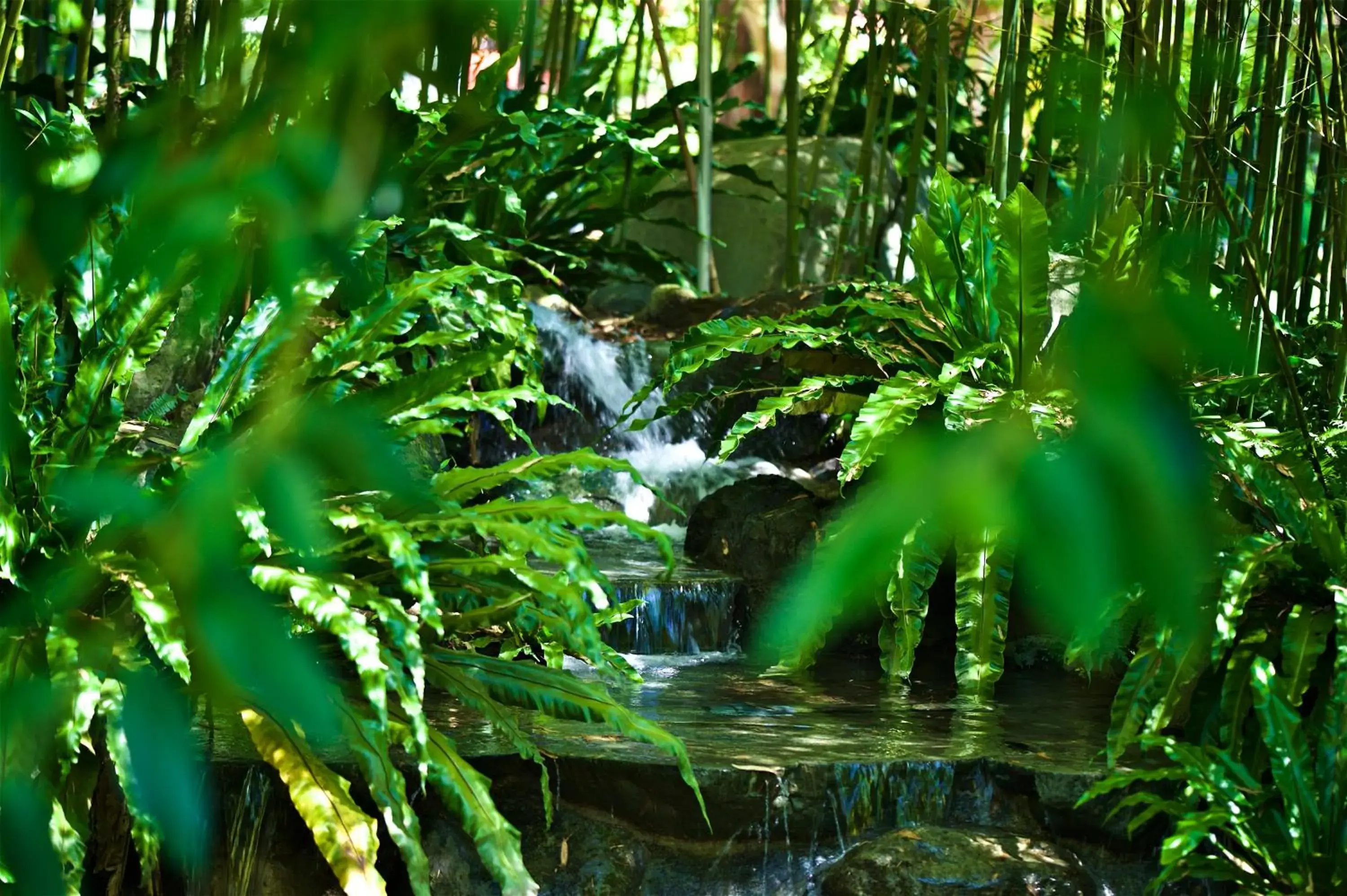 Gaeavilla Resort Gaeavilla Resort