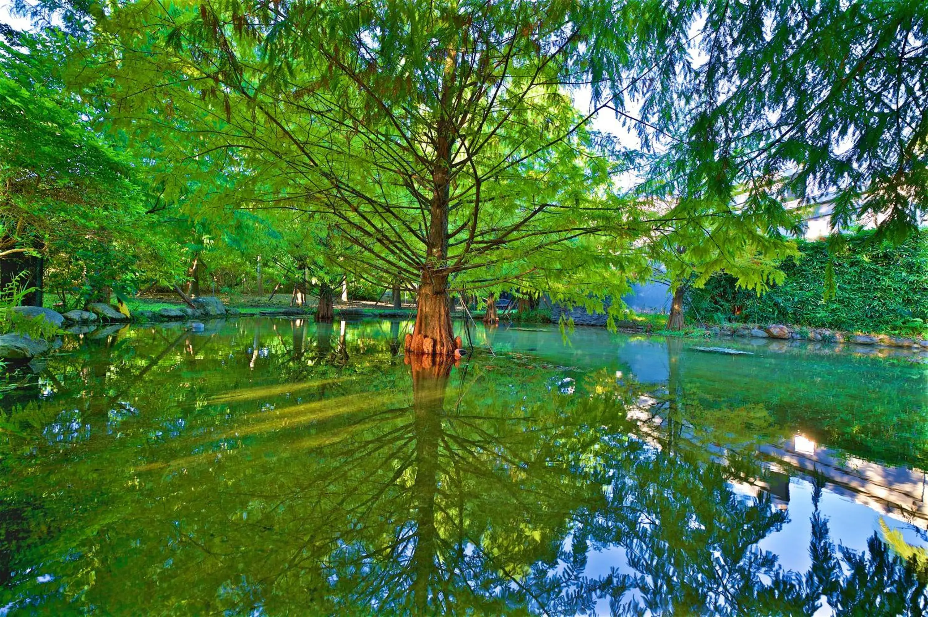 Gaeavilla Resort Gaeavilla Resort