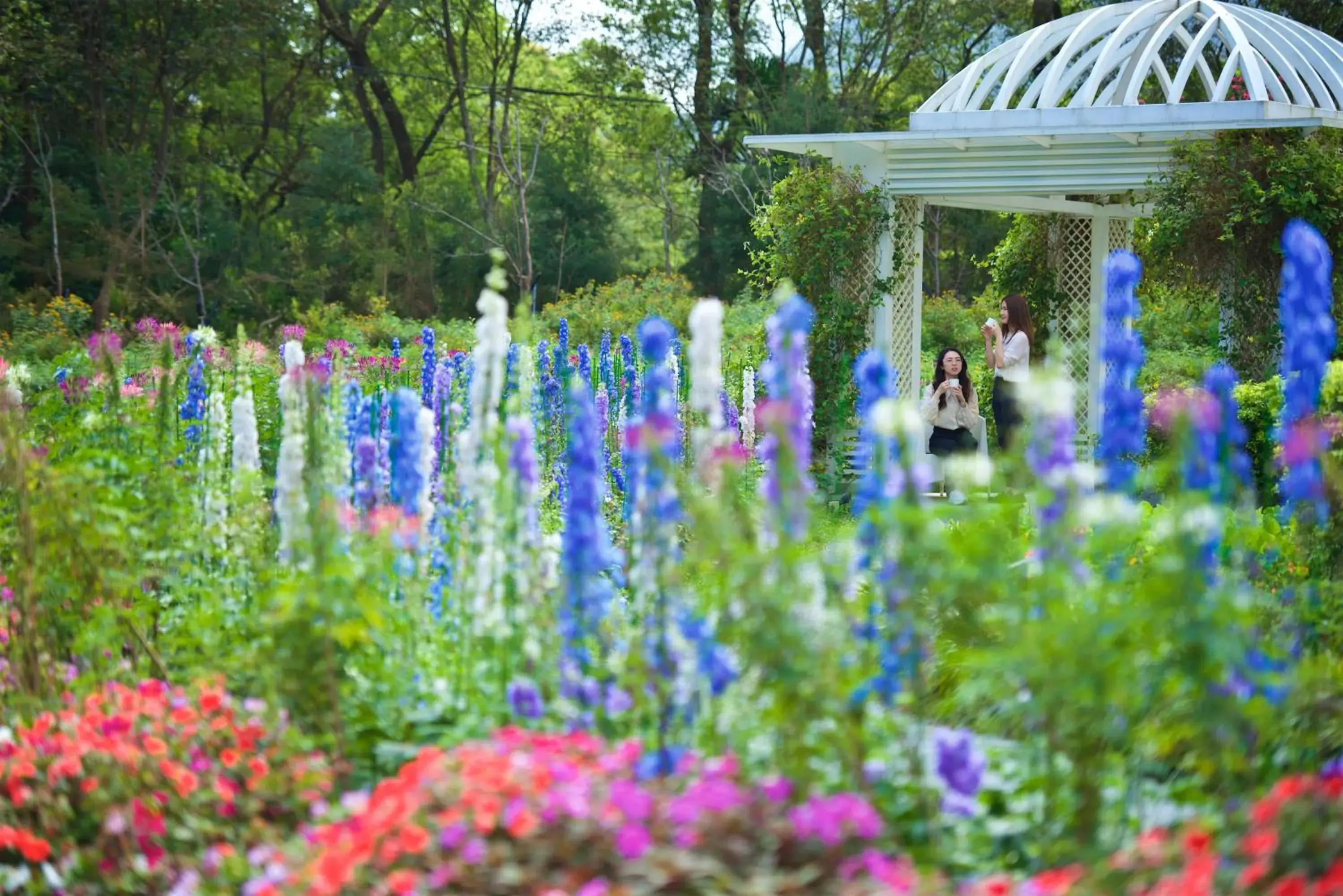 Gaeavilla Resort Gaeavilla Resort