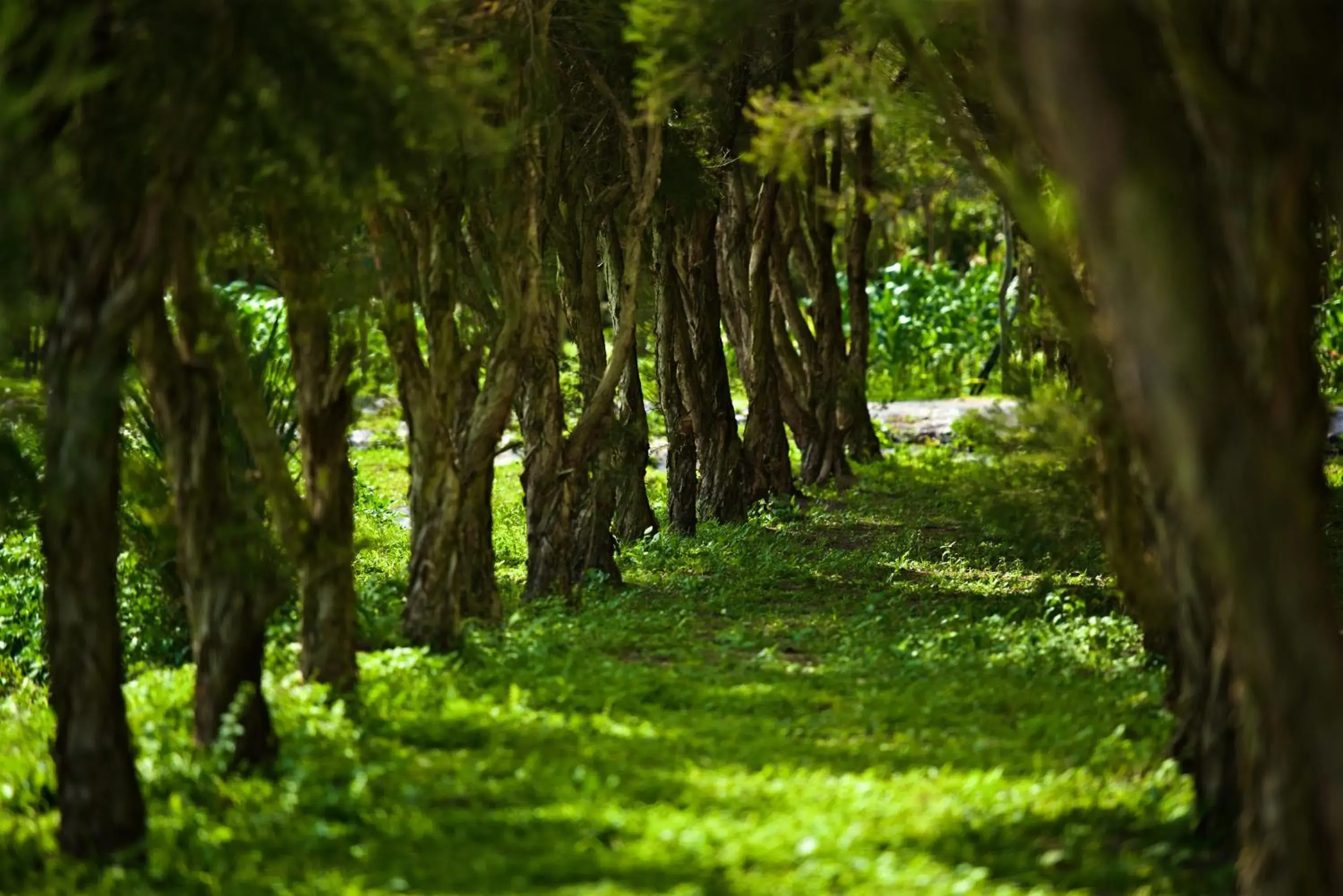 Gaeavilla Resort Gaeavilla Resort