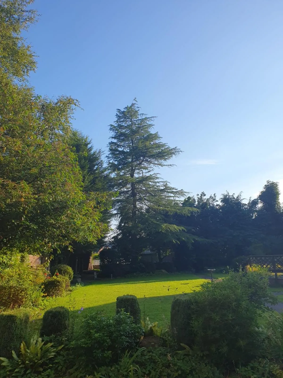 The Manor Guest House