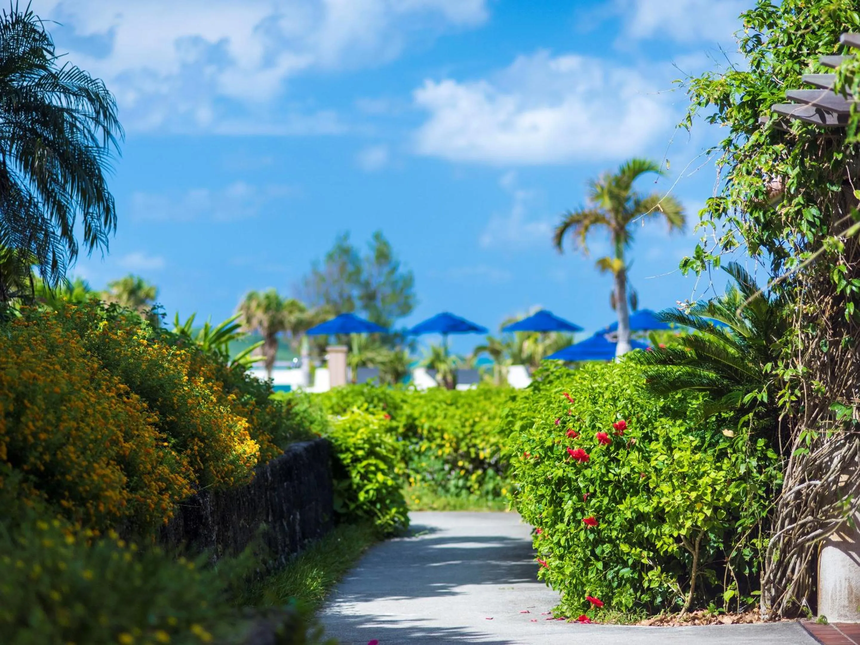 Natural landscape in Miyakojima Tokyu Hotel & Resorts