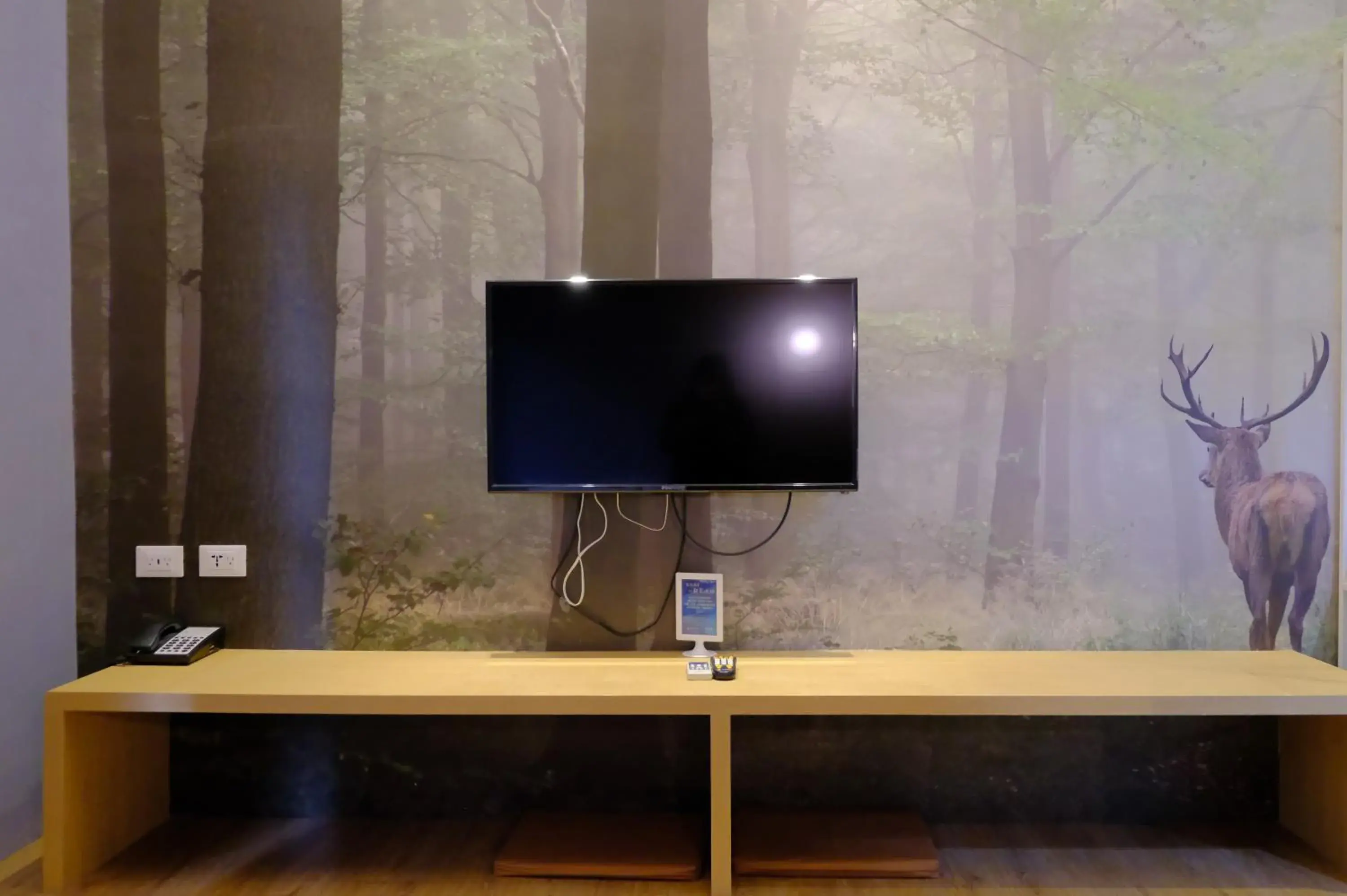 TV and multimedia in Taitung Railway Inn TV and multimedia in Taitung Railway Inn