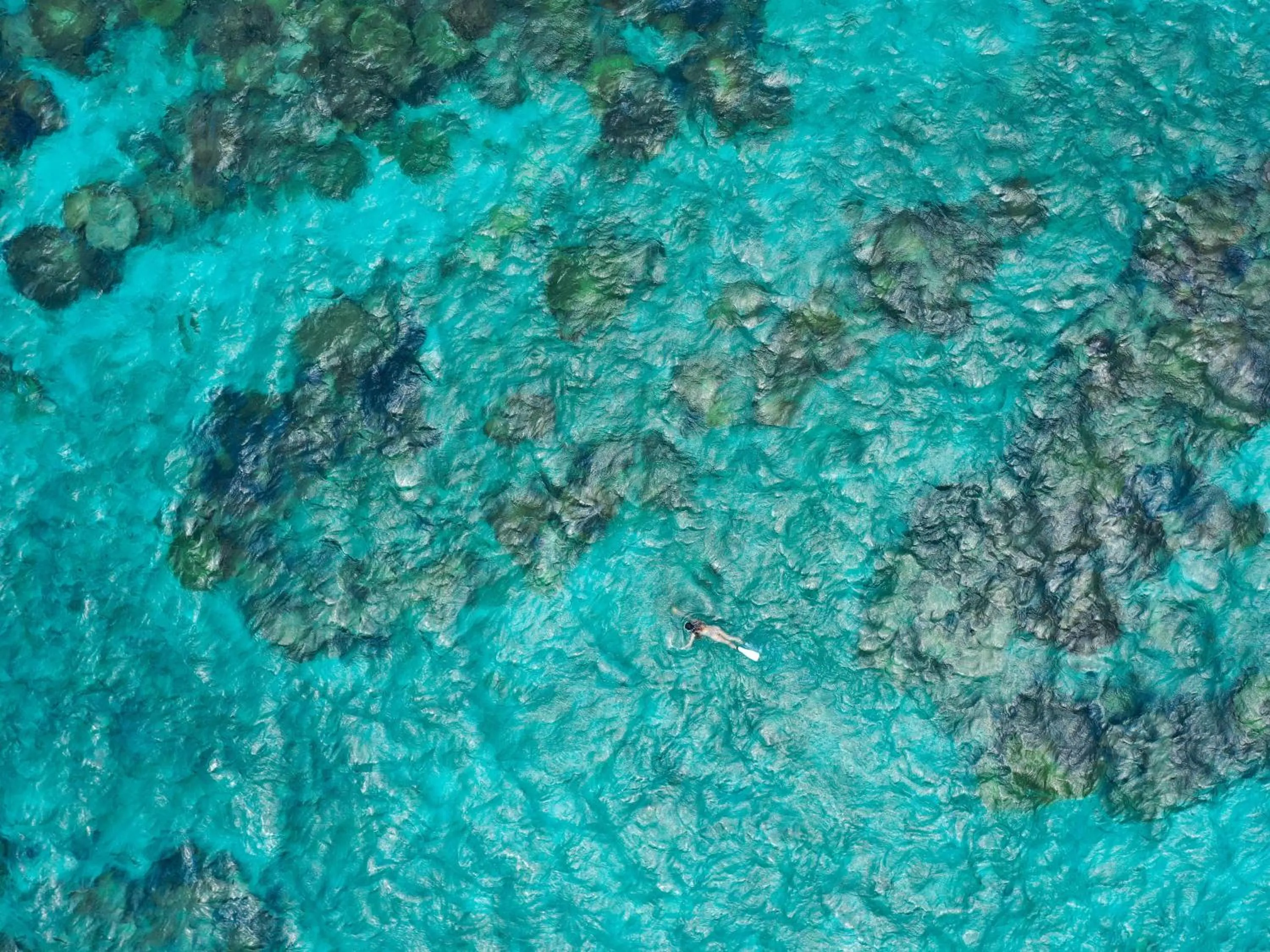 Snorkeling in Central Resort Miyakojima