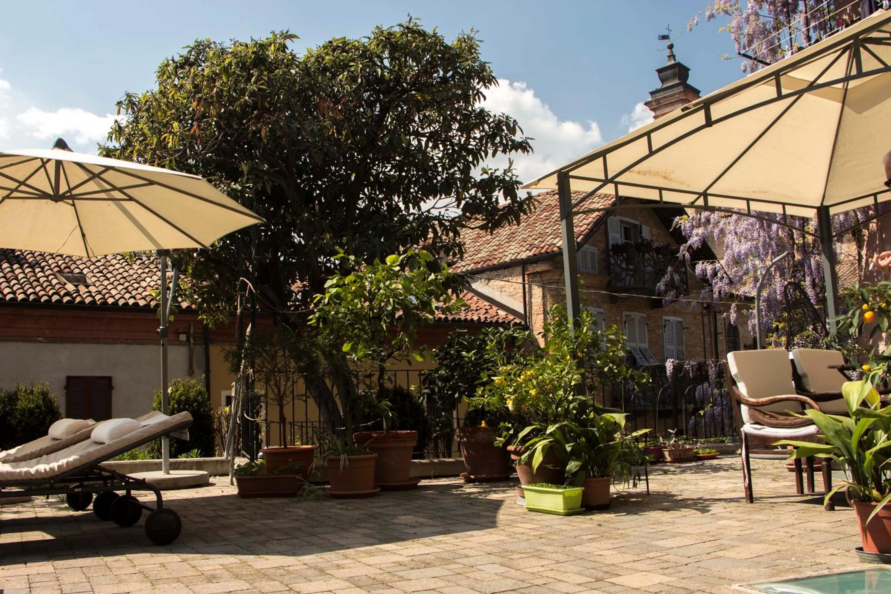 Garden in L'Aromatario