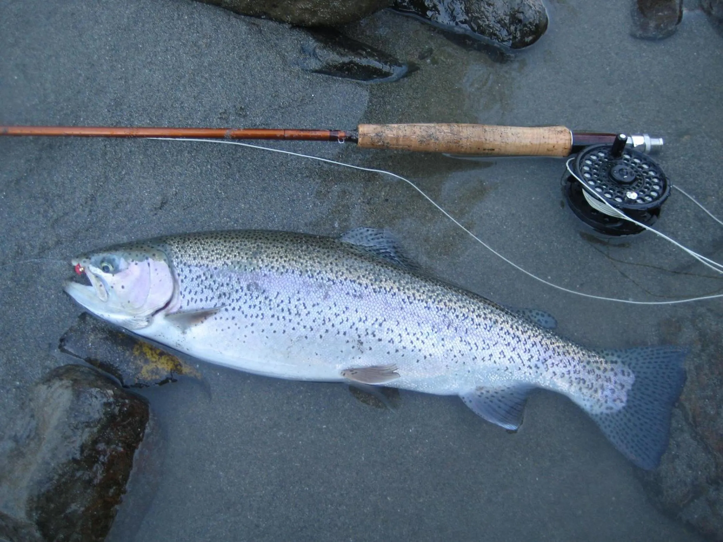 Fishing in Hotel Campelli
