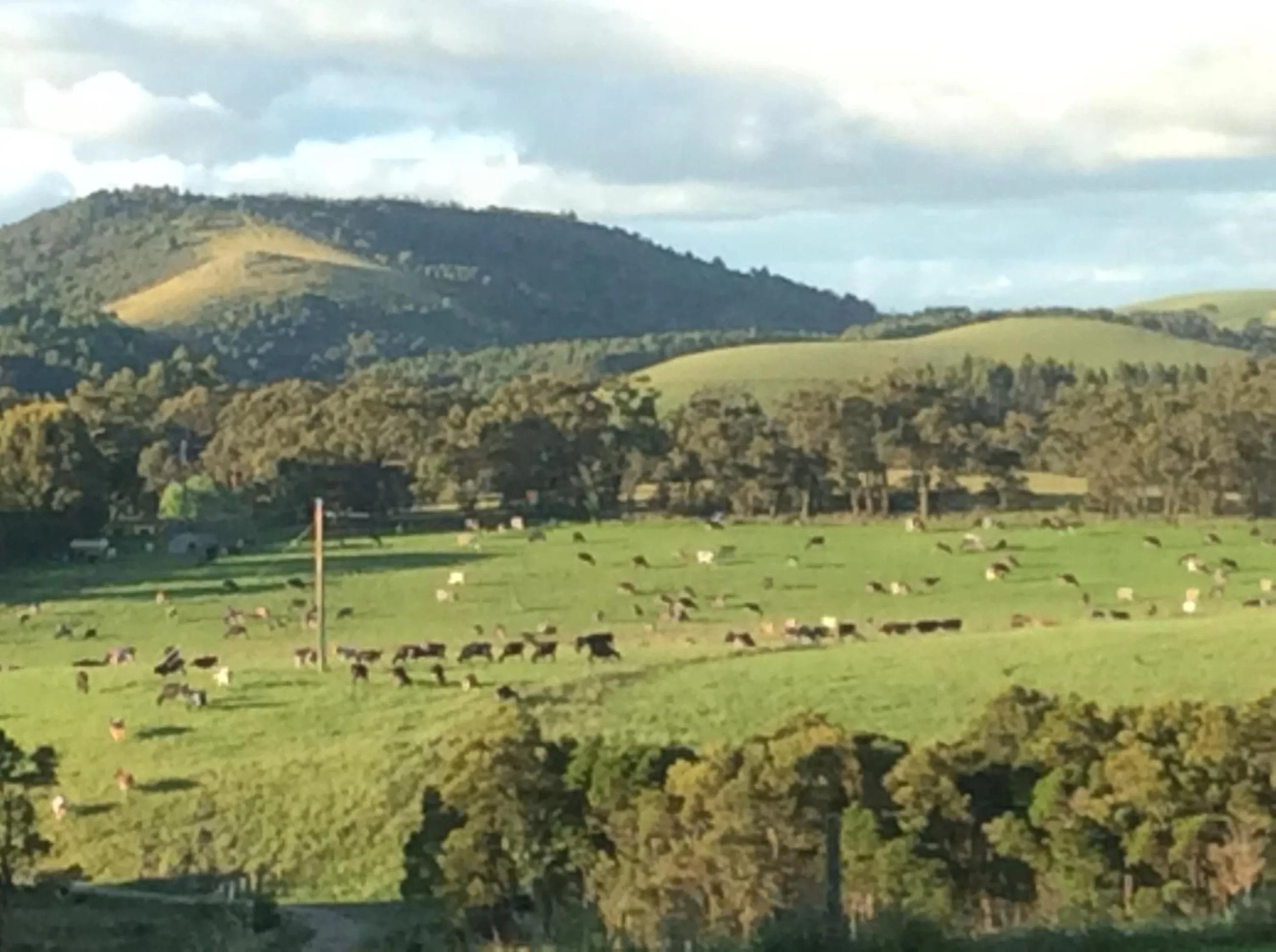 Natural landscape in Aashay Country Stay