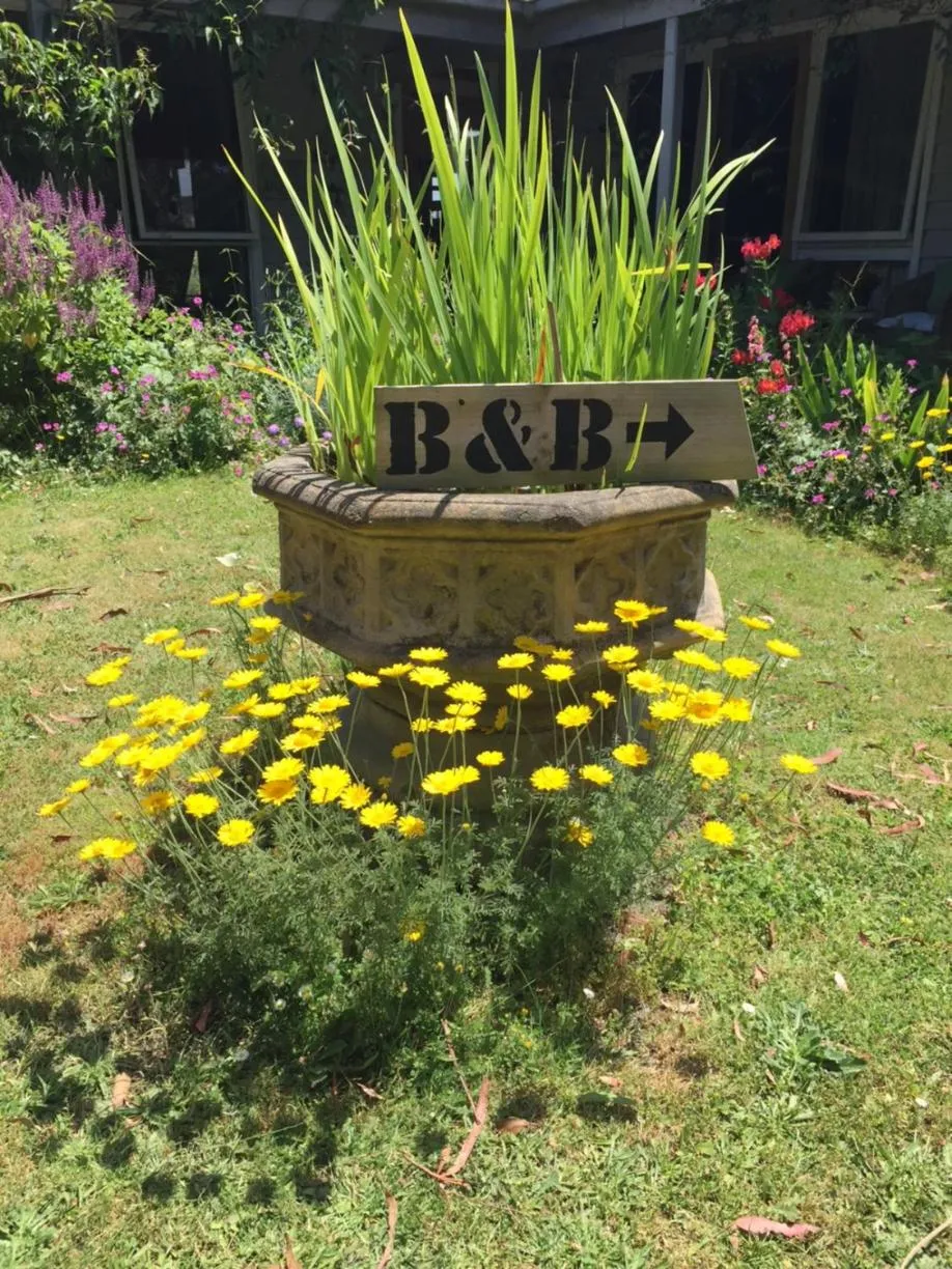 Garden view in Aashay Country Stay