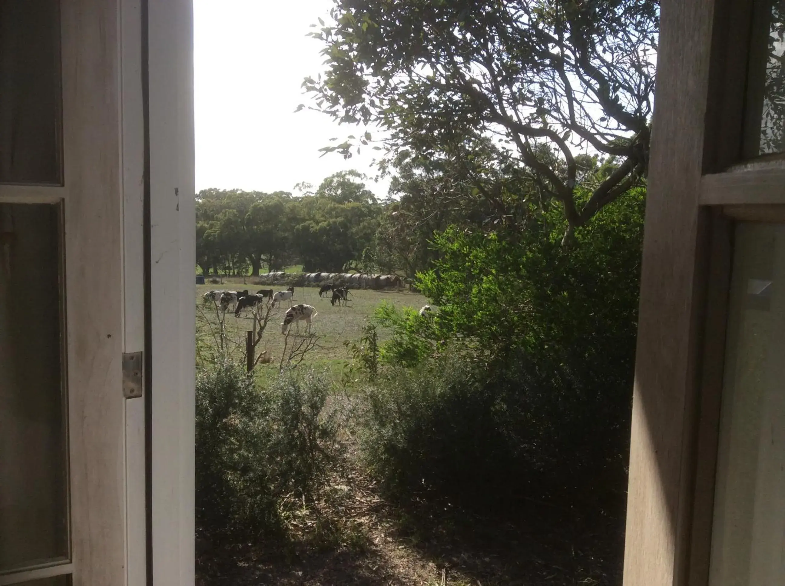 Deluxe Queen Room in Aashay Country Stay Deluxe Queen Room in Aashay Country Stay