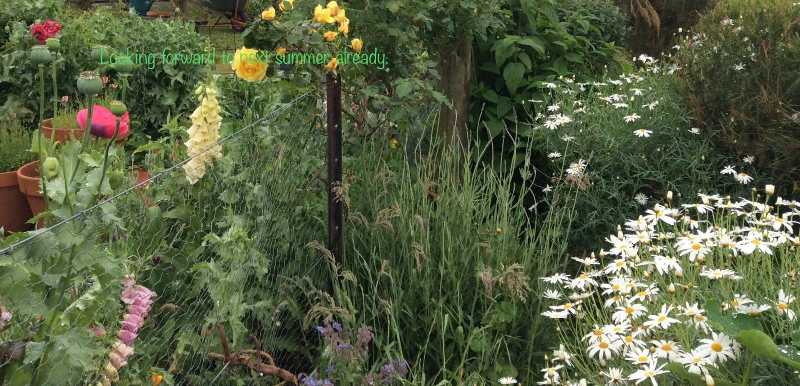 Garden in Aashay Country Stay