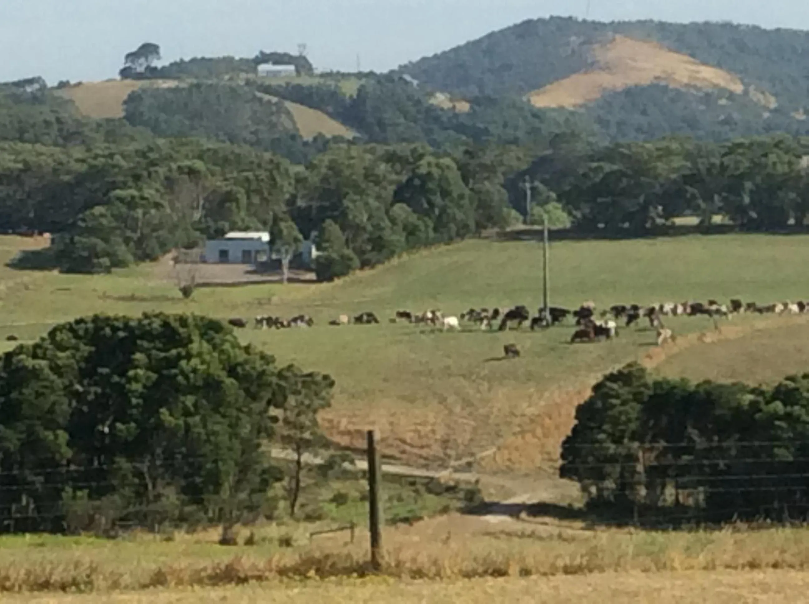Natural landscape in Aashay Country Stay
