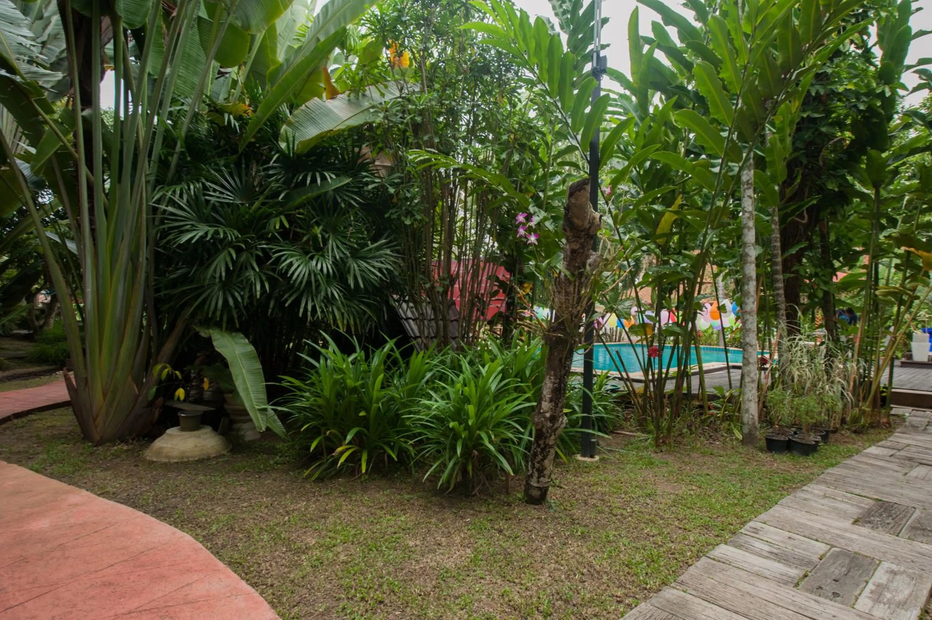 Swimming pool in Ruen Ariya Resort