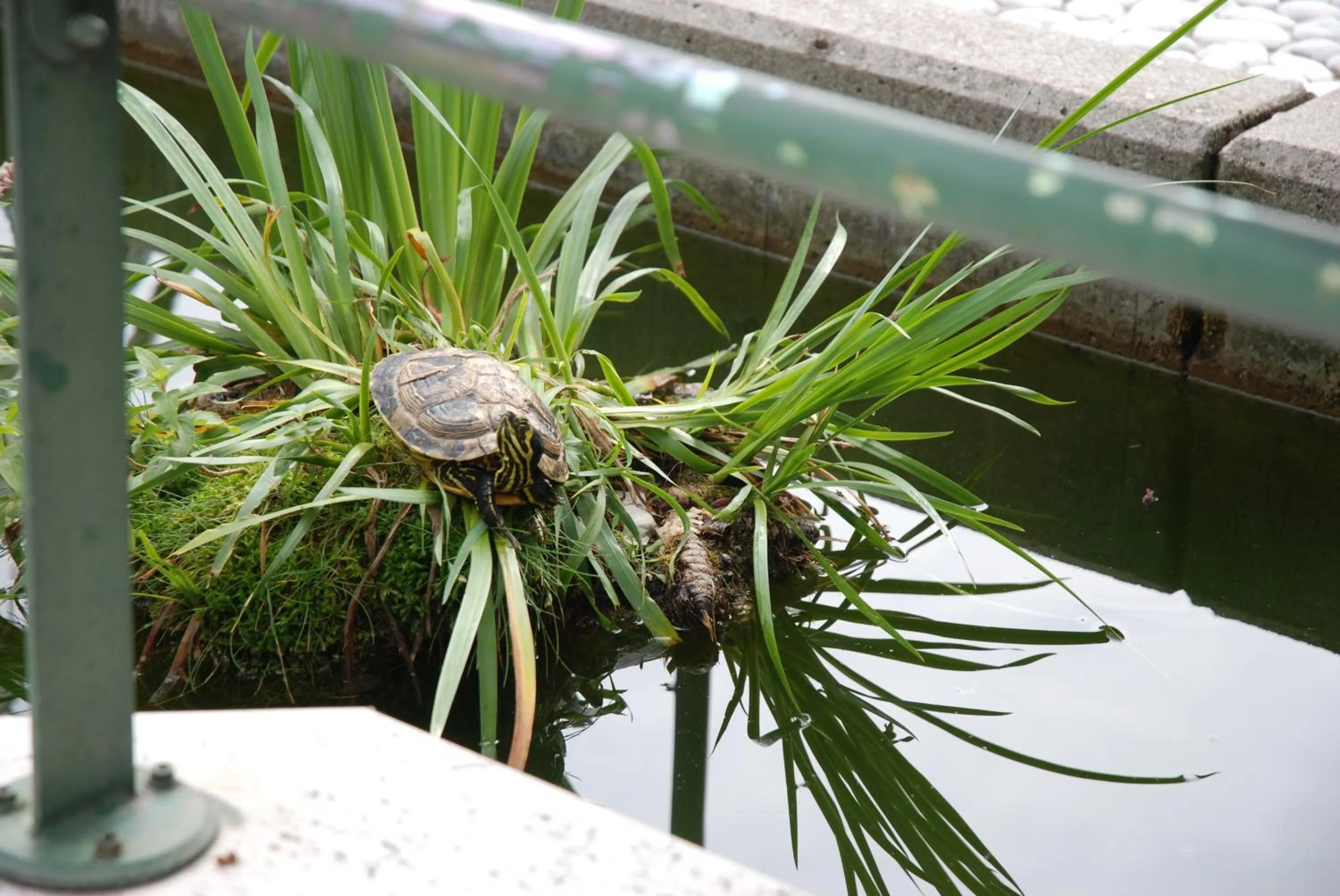 Decorative detail in Al Giardino