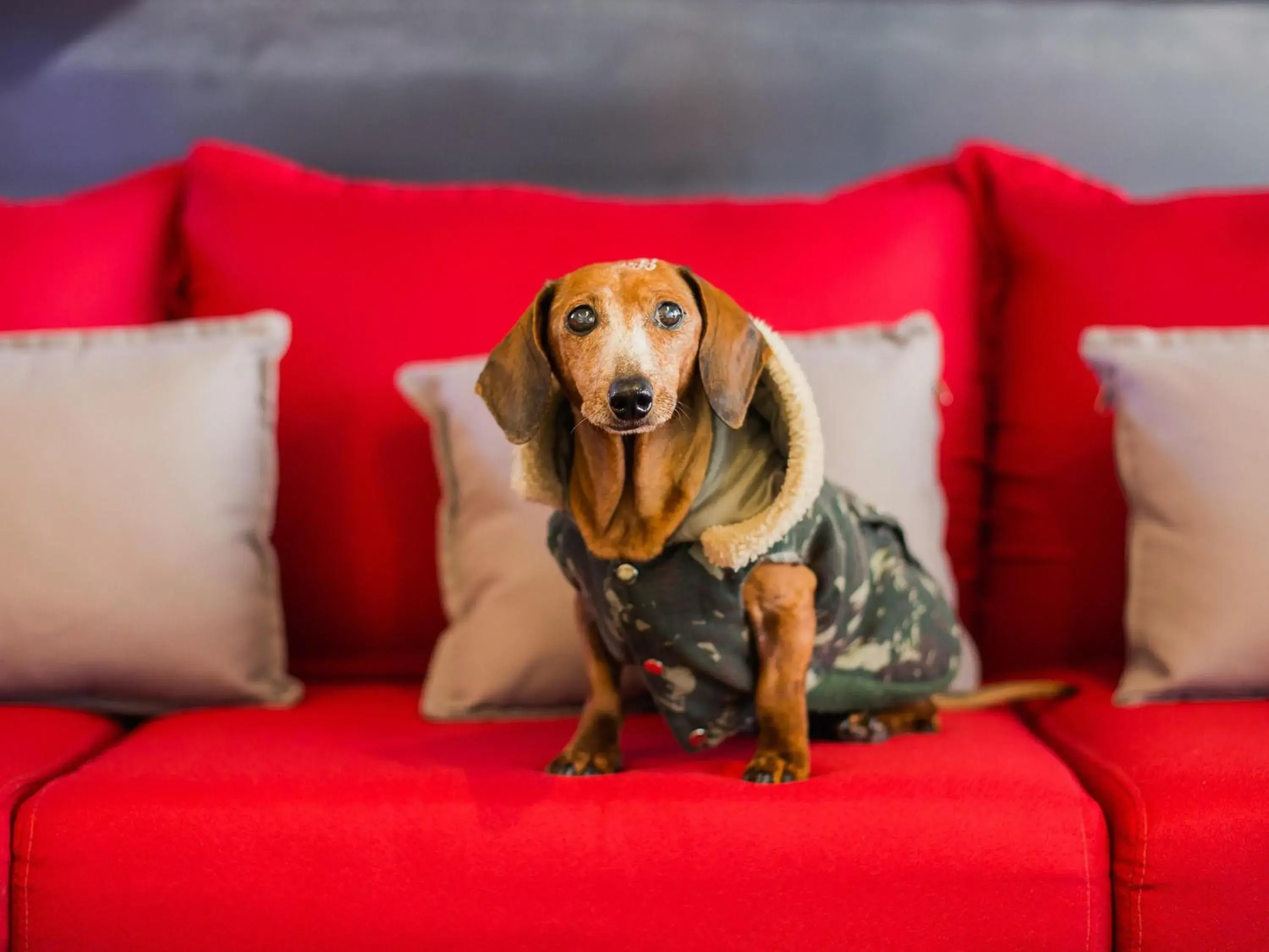 Property building in ibis Erechim Property building in ibis Erechim