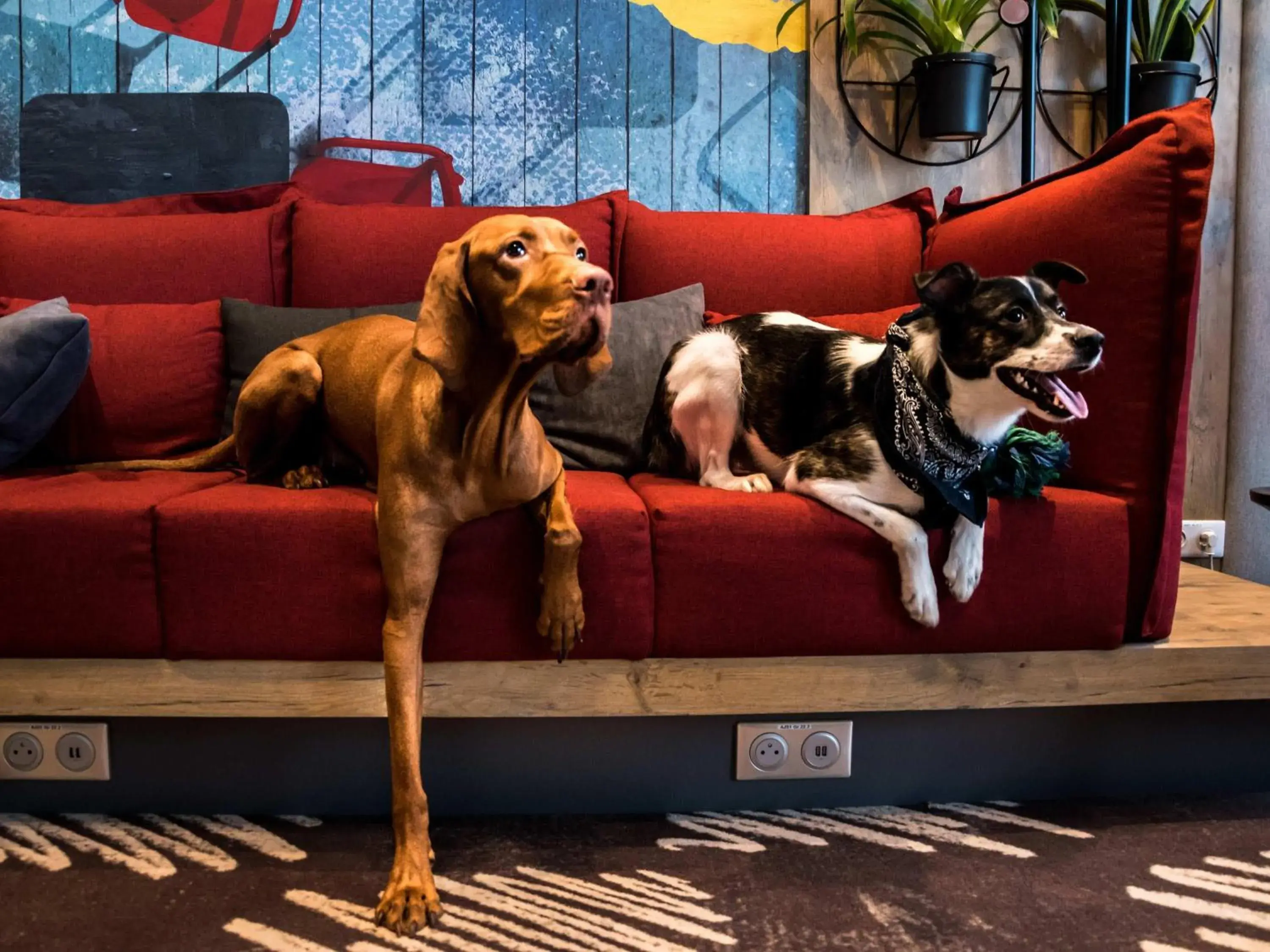 Property building in ibis Vilnius Centre Property building in ibis Vilnius Centre