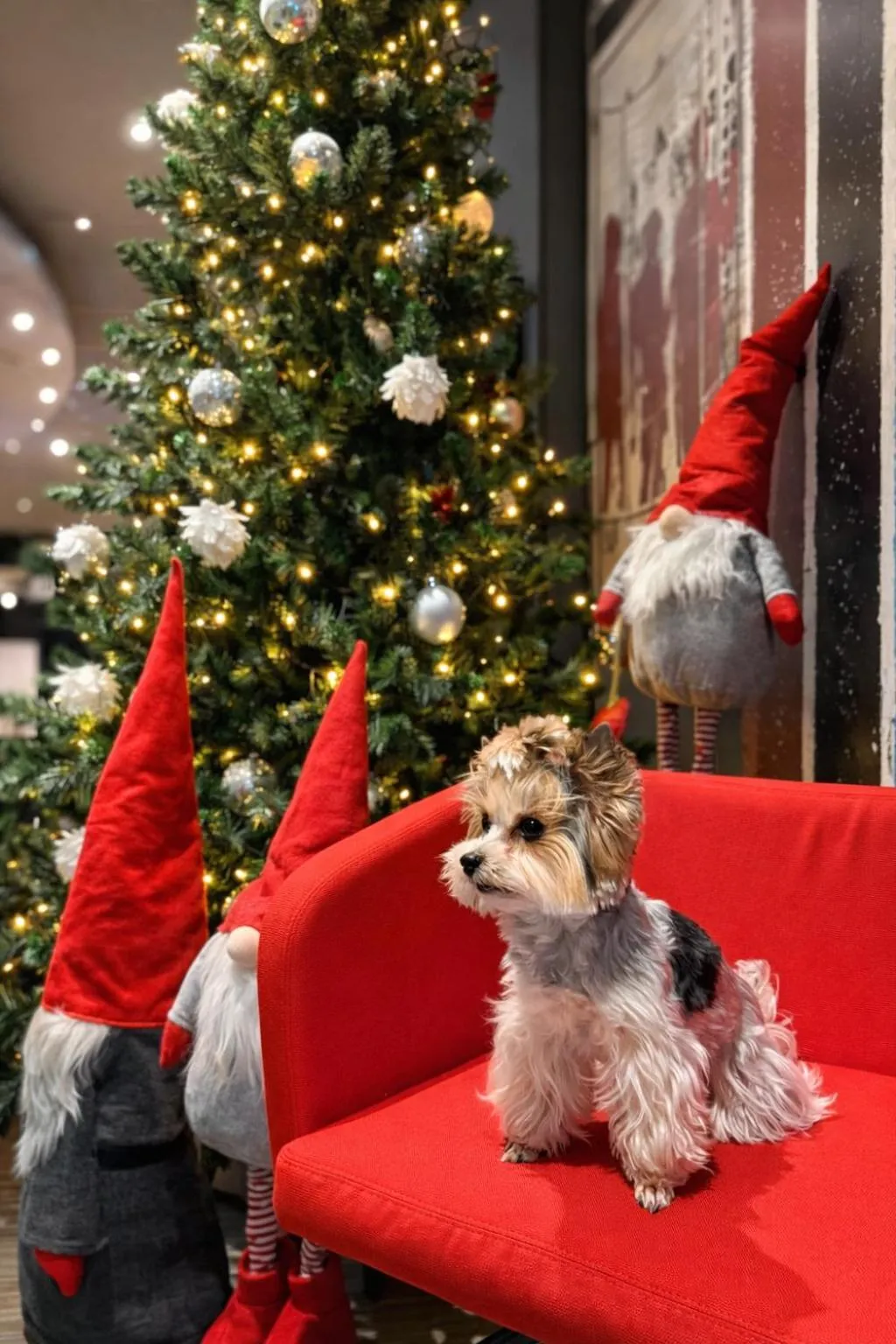 pet friendly in ibis Vilnius Centre