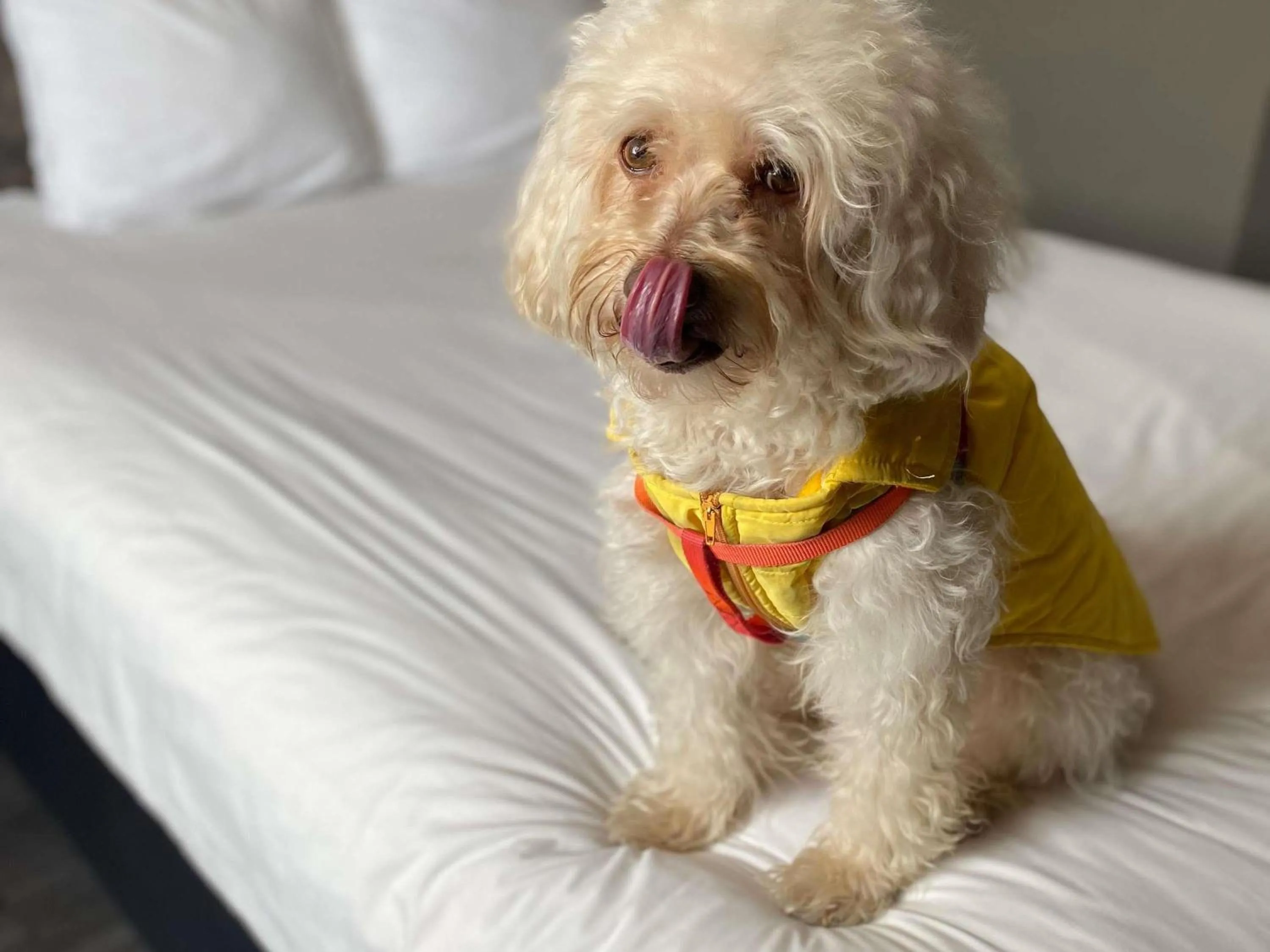 Bedroom in Ibis Mexico Tlalnepantla