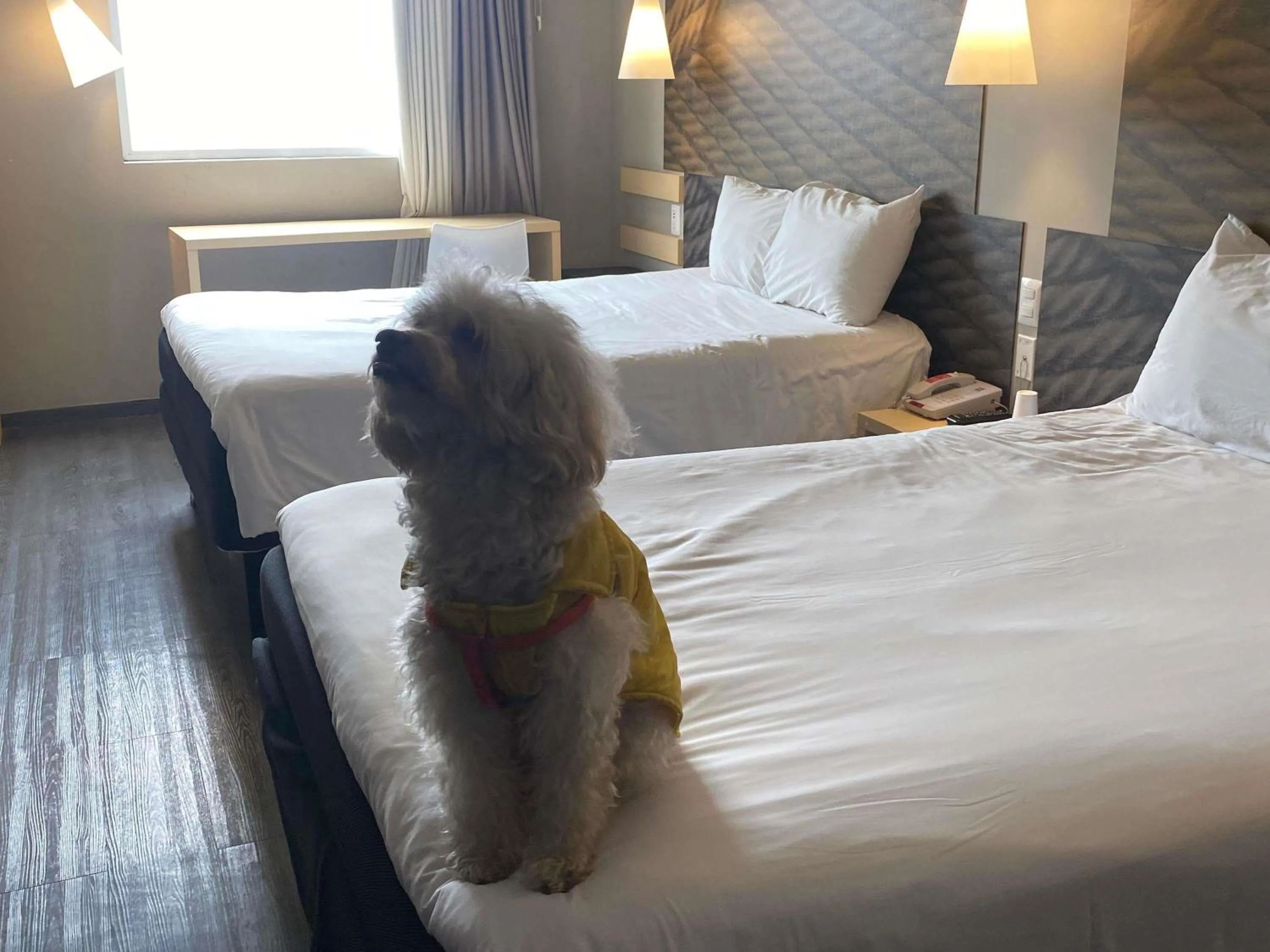 Bedroom, Bed in Ibis Mexico Tlalnepantla