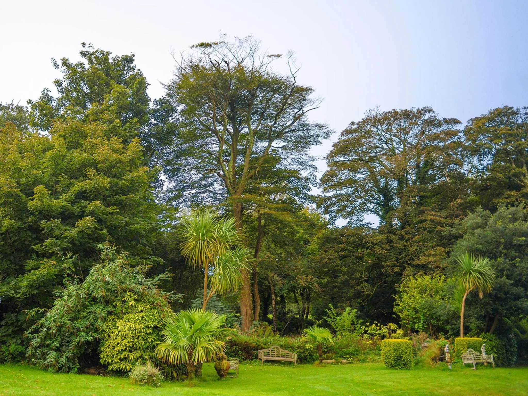 Garden in Penventon Park Hotel