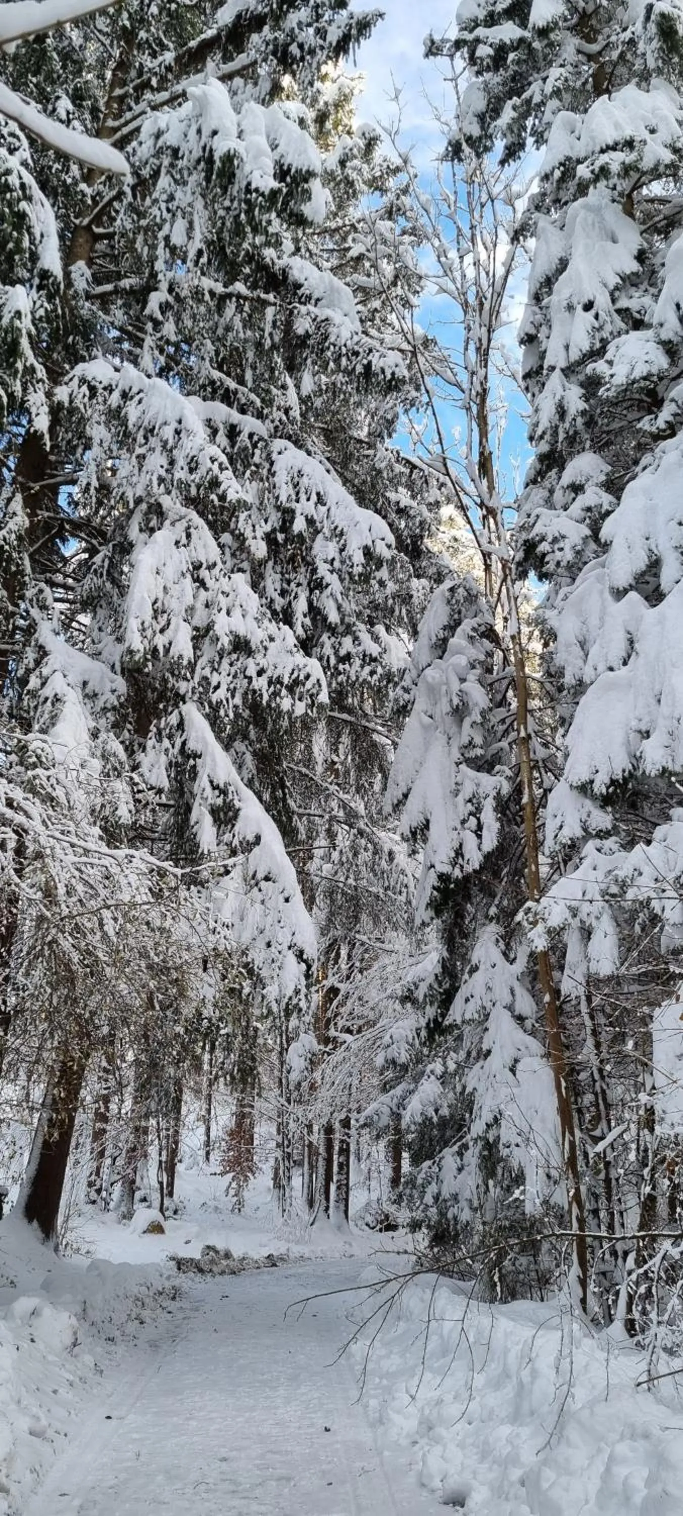 Nearby landmark in Boutique Hotel Angerer