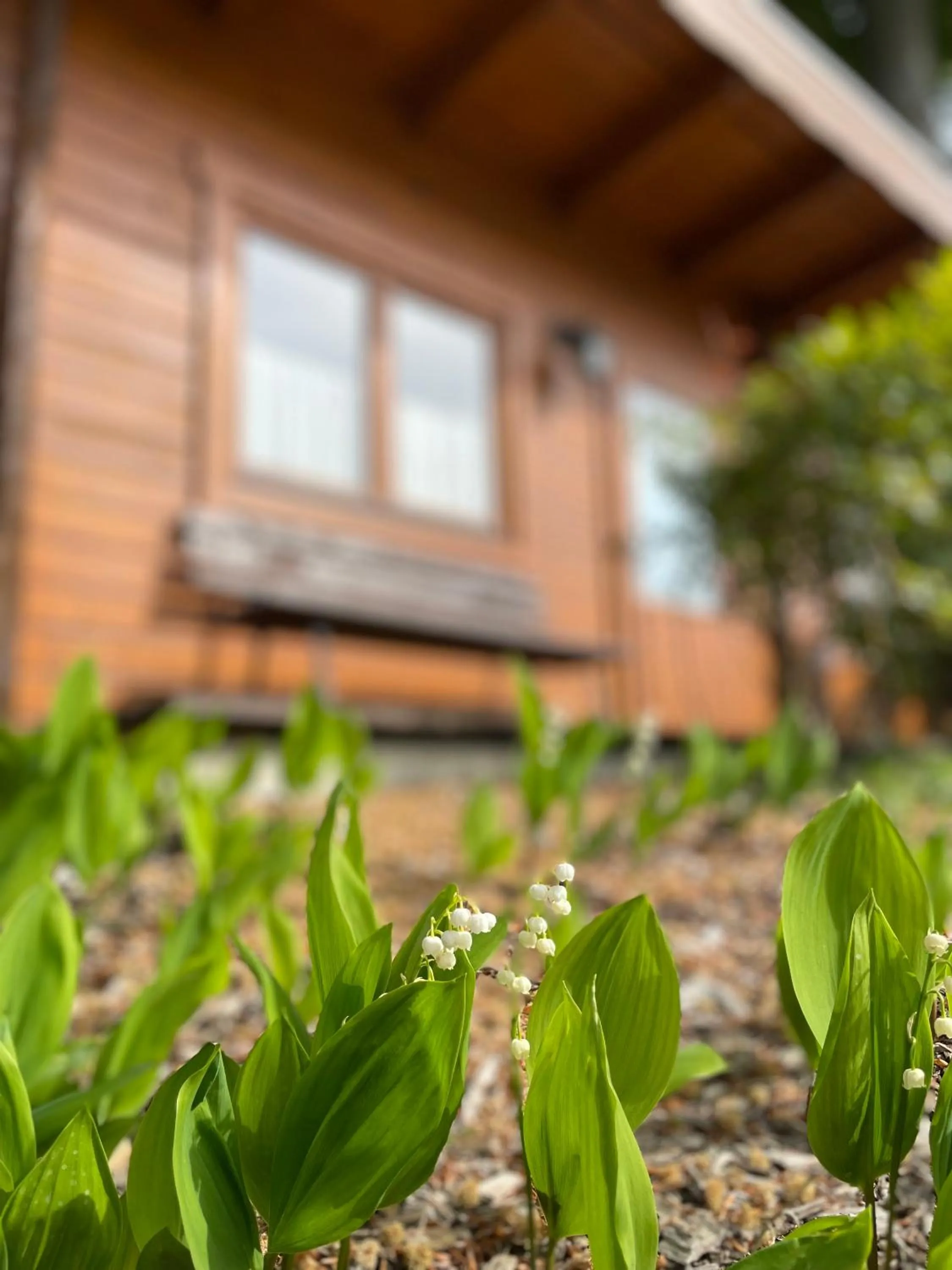 Garden view in Forsthaus Langenberg