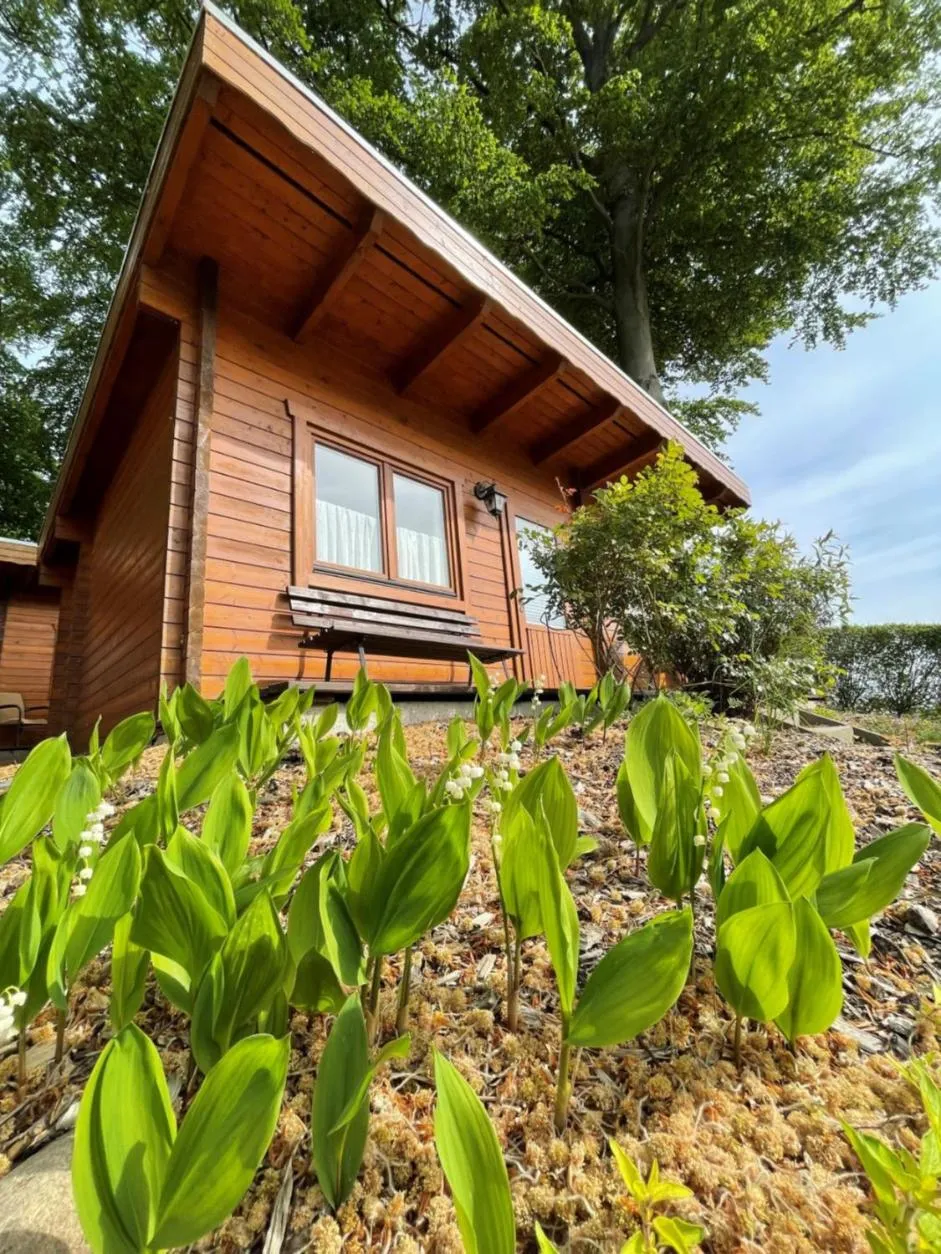 Garden in Forsthaus Langenberg