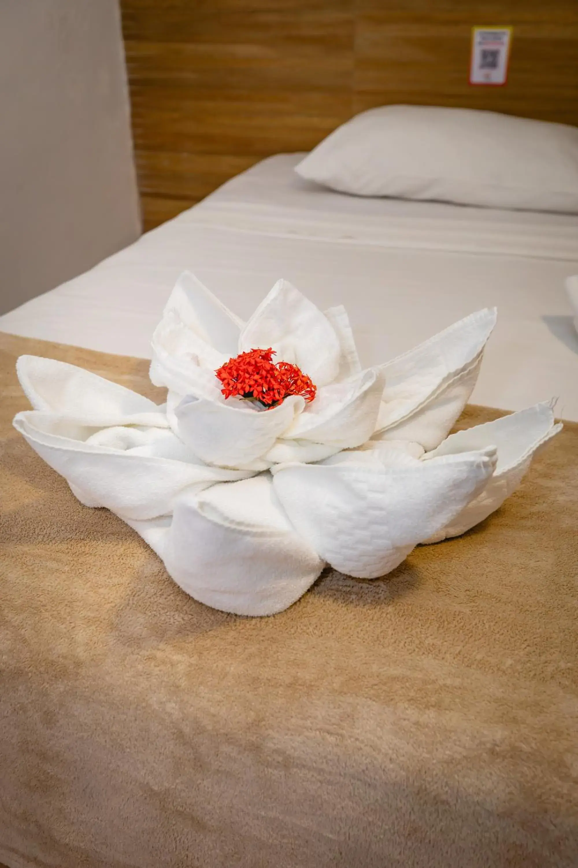 Standard Triple Room with Balcony in Arraial do Sol Beach Hotel Standard Triple Room with Balcony in Arraial do Sol Beach Hotel