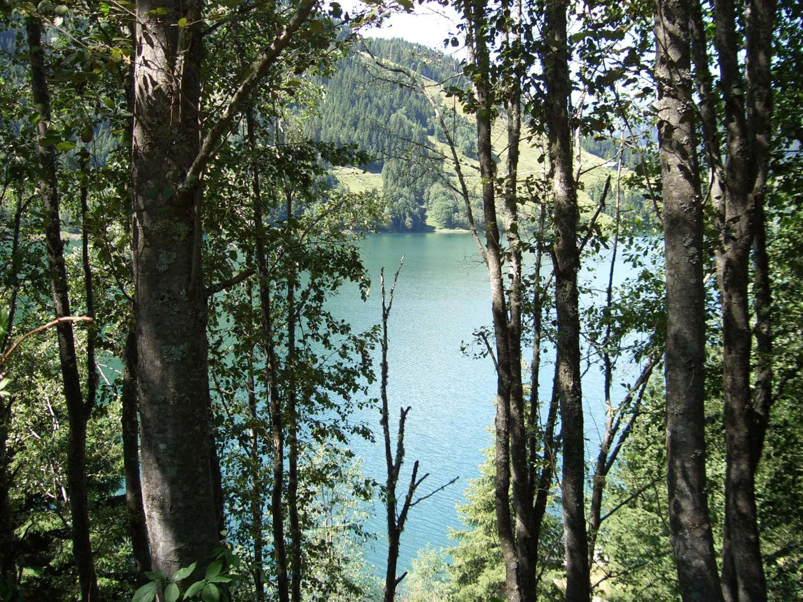 Gästehaus Elfriede