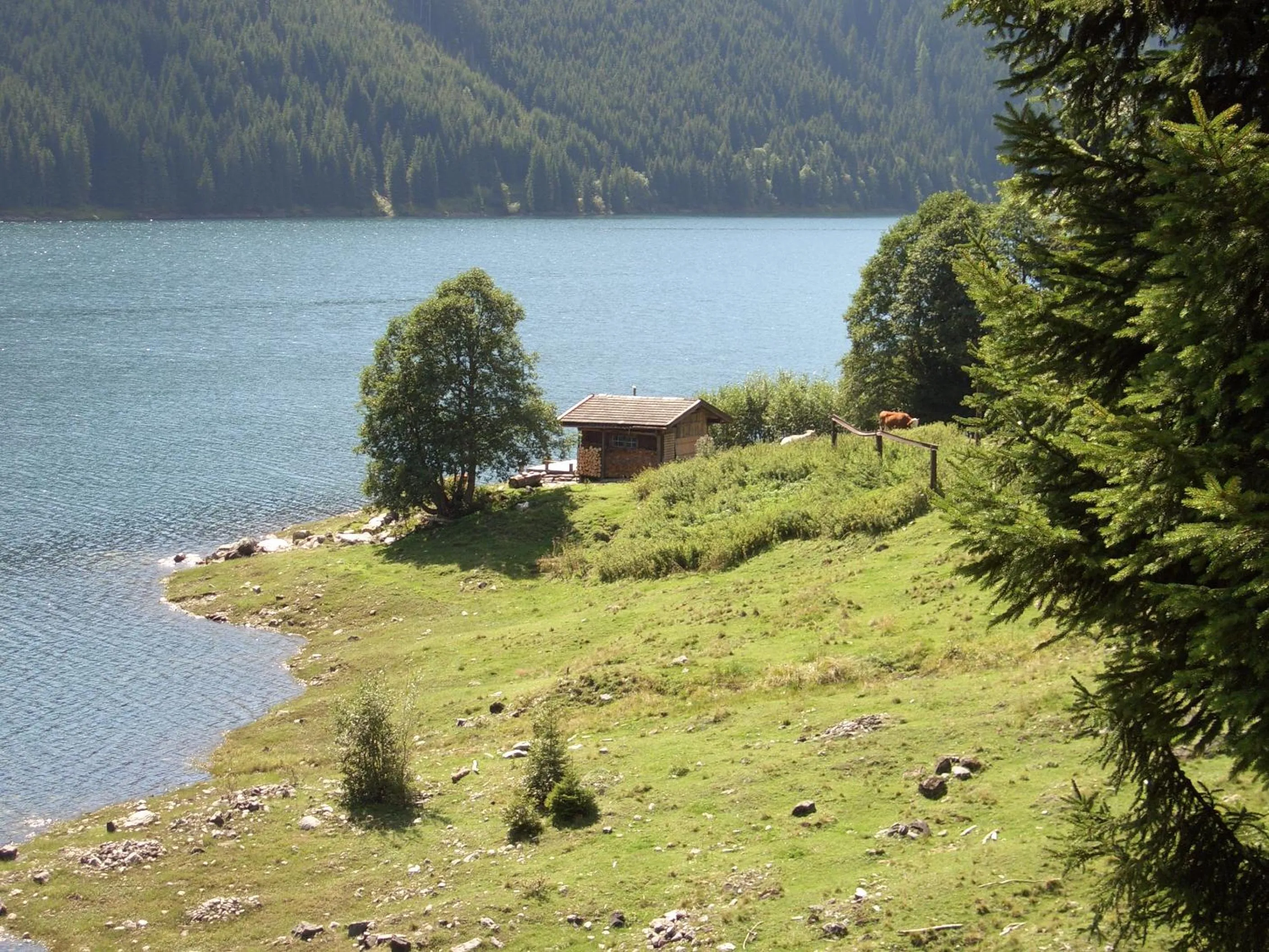 Gästehaus Elfriede