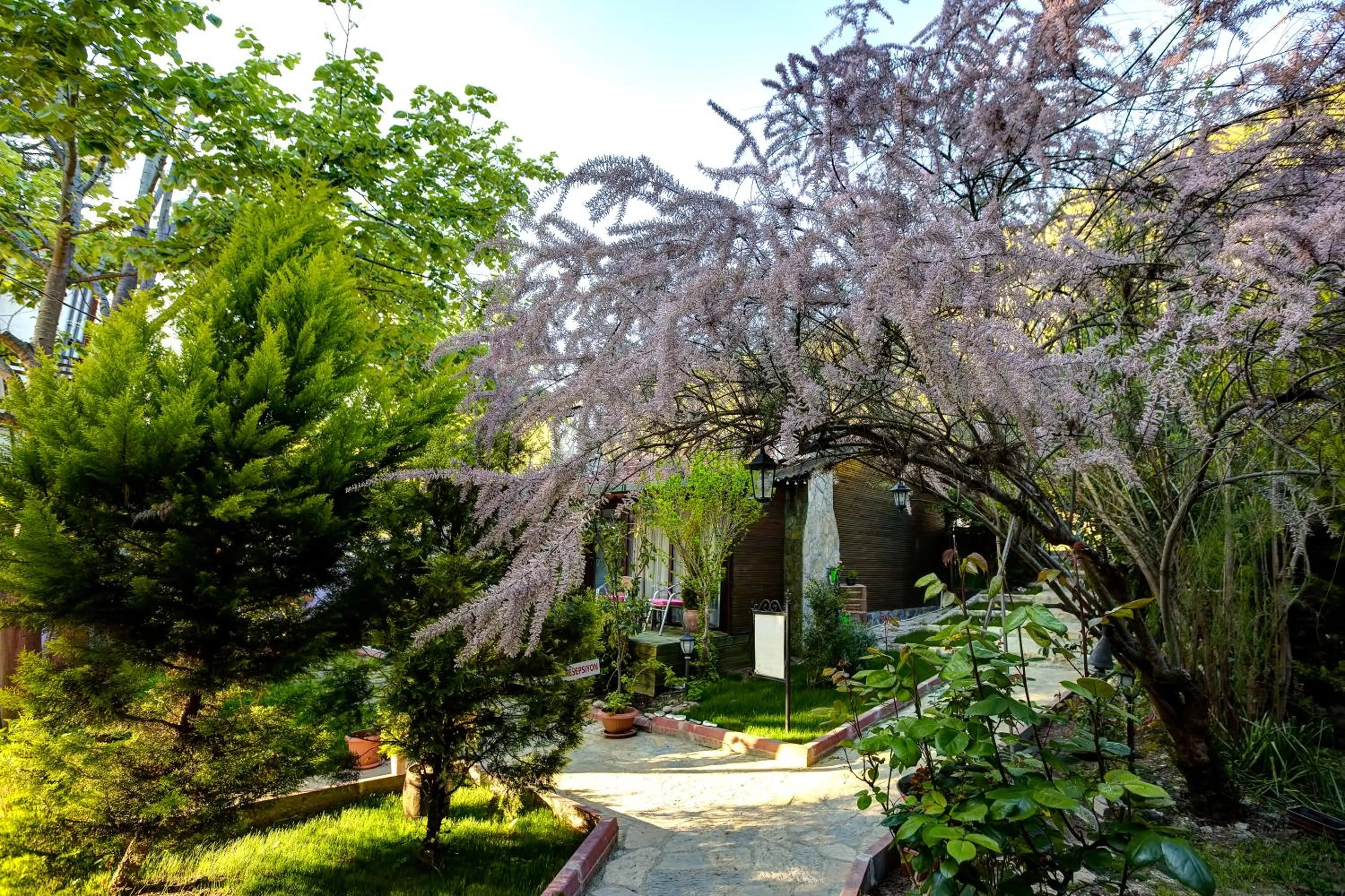 Garden view in Park Mandalin Hotel - Adult only