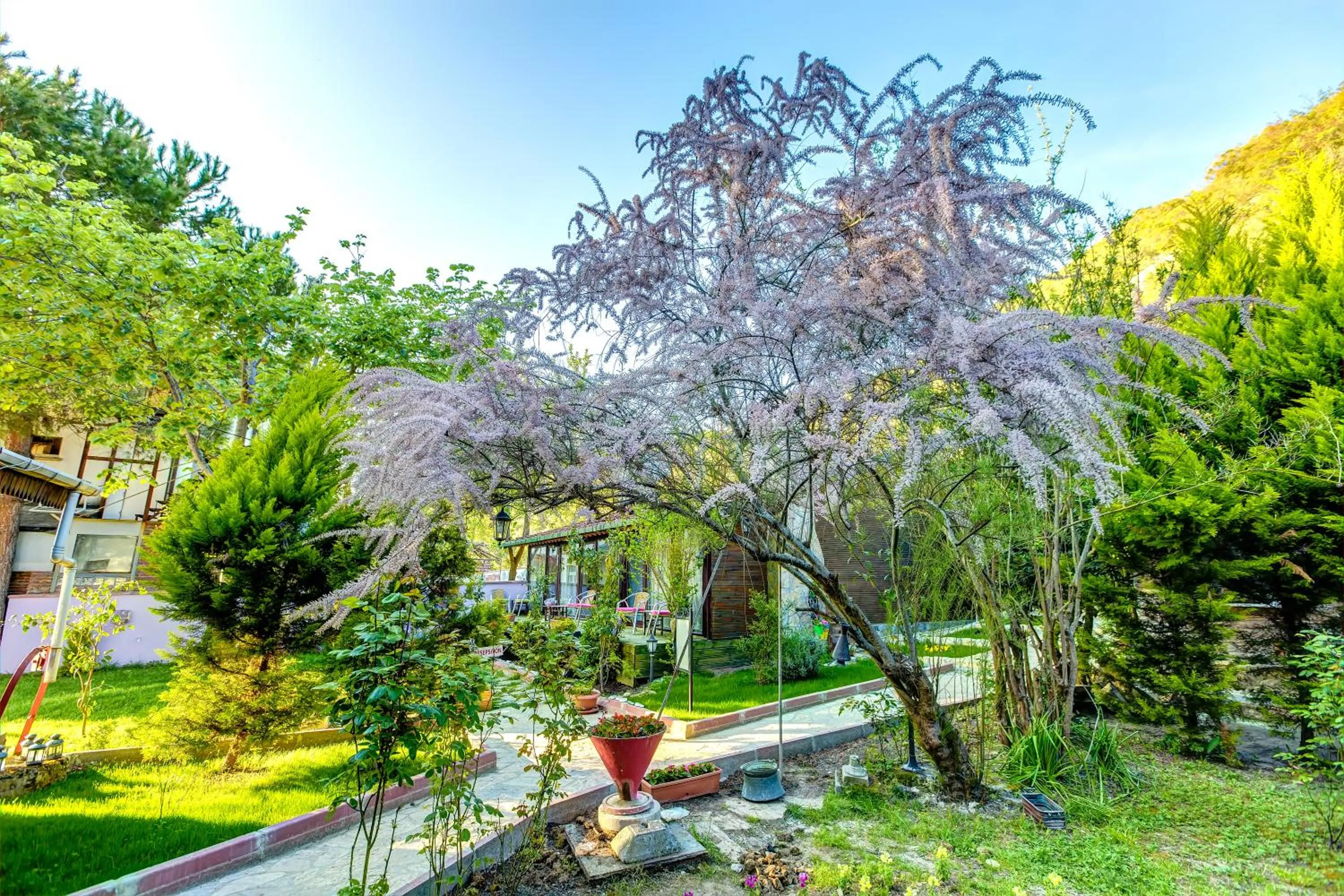 Garden view in Park Mandalin Hotel - Adult only