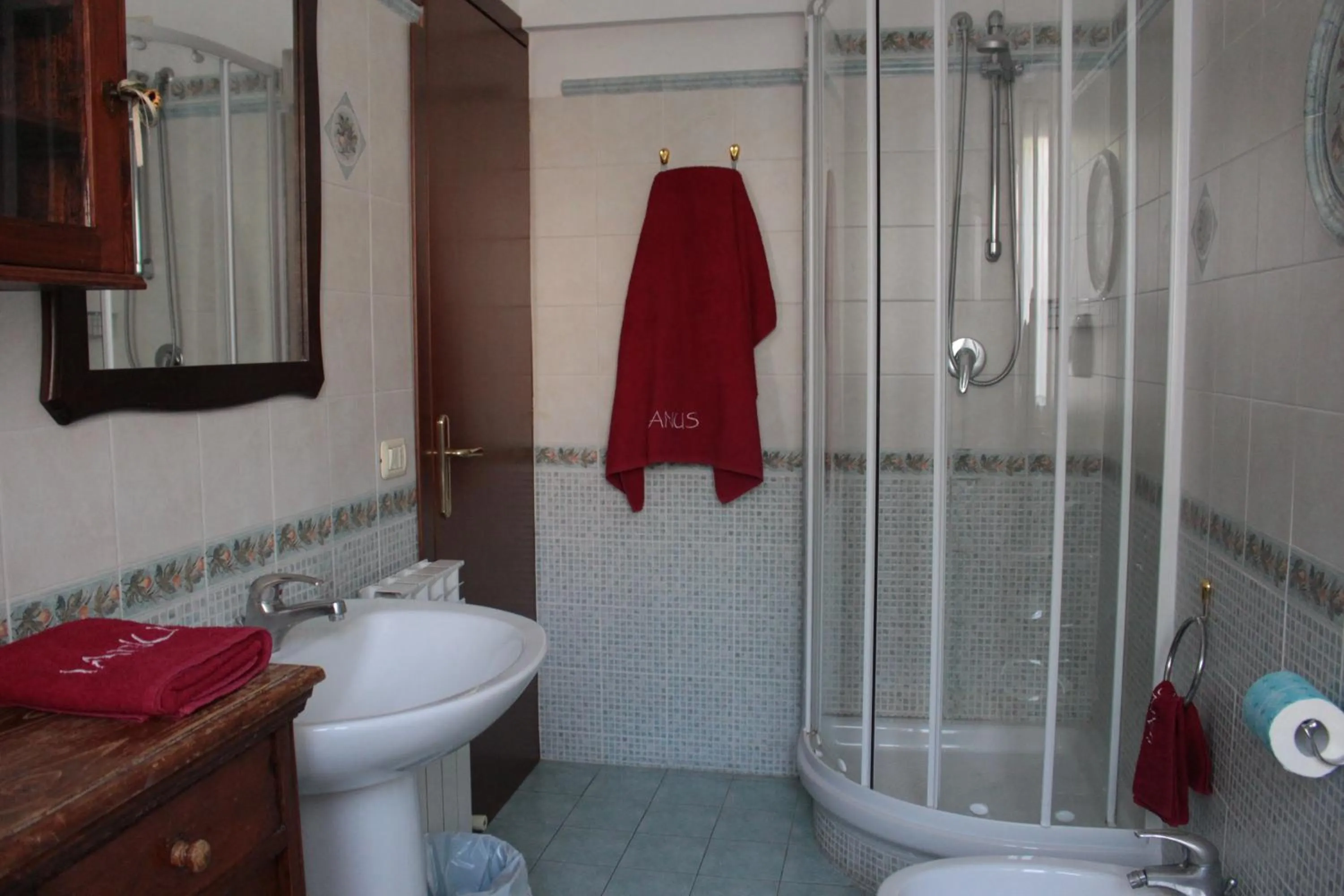 Shower in Ianus Guest House