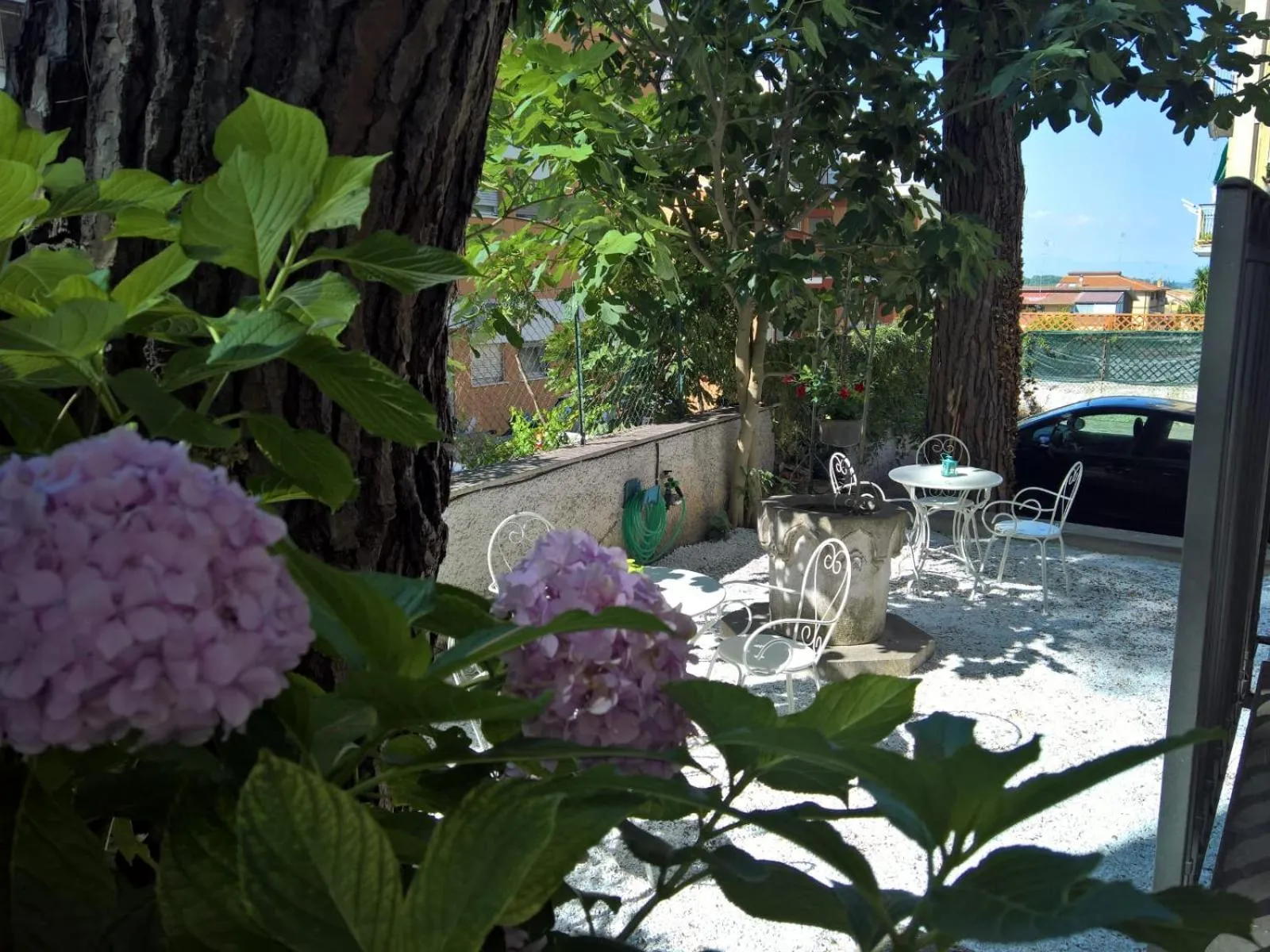 Garden in Ianus Guest House