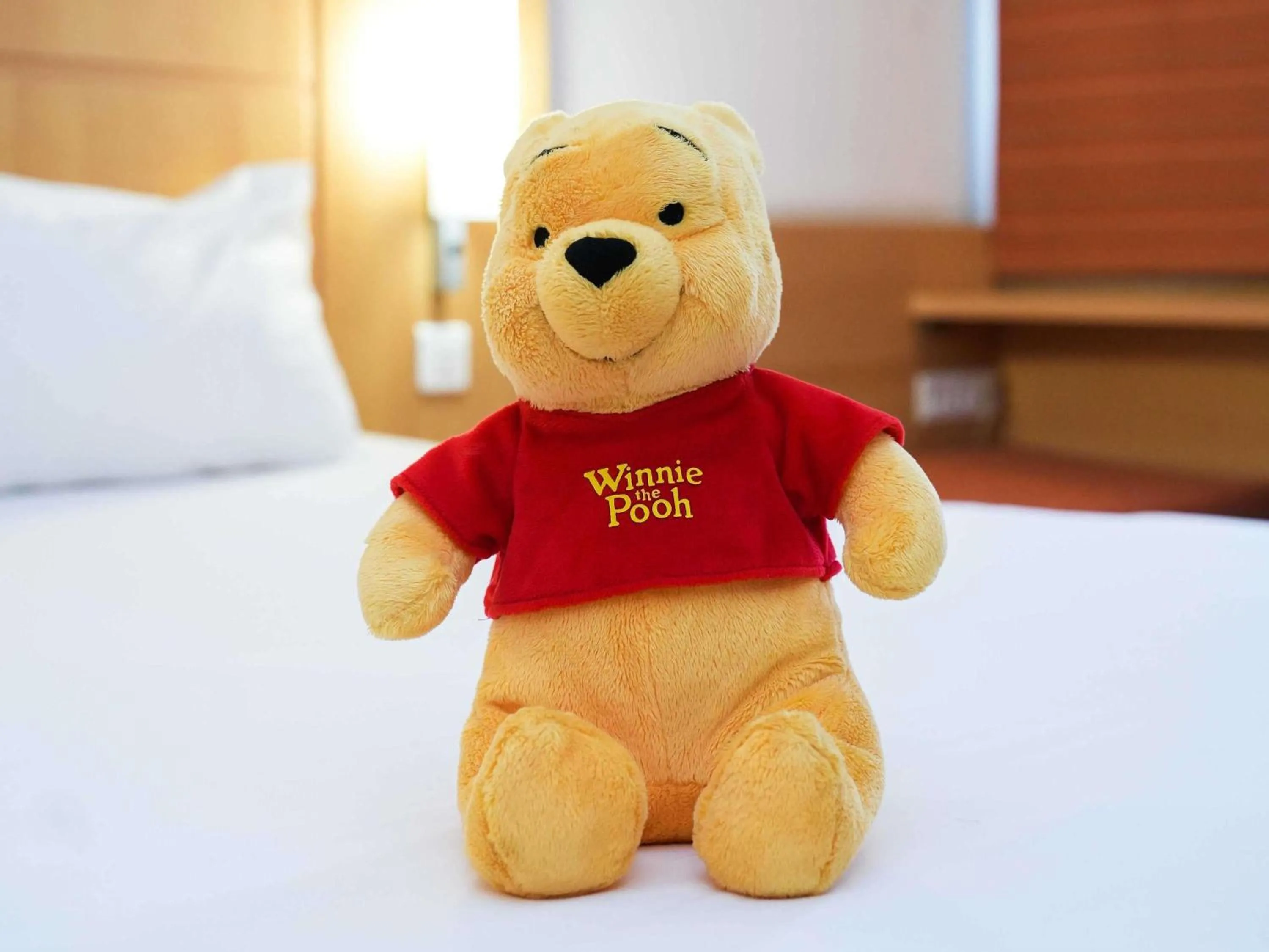 Other, Bed in Ibis Tunis