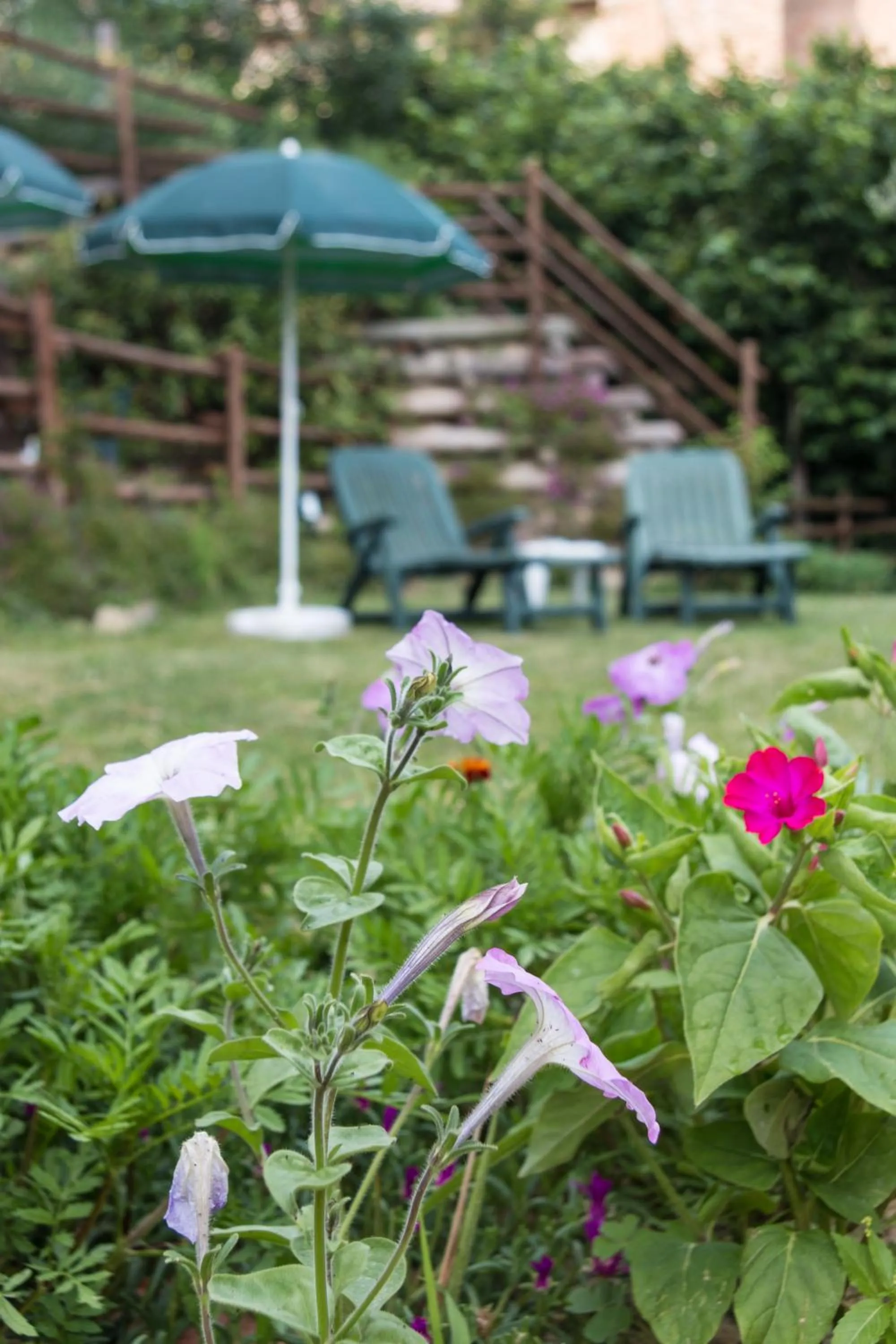 Property building in Albergo Diffuso Belvedere