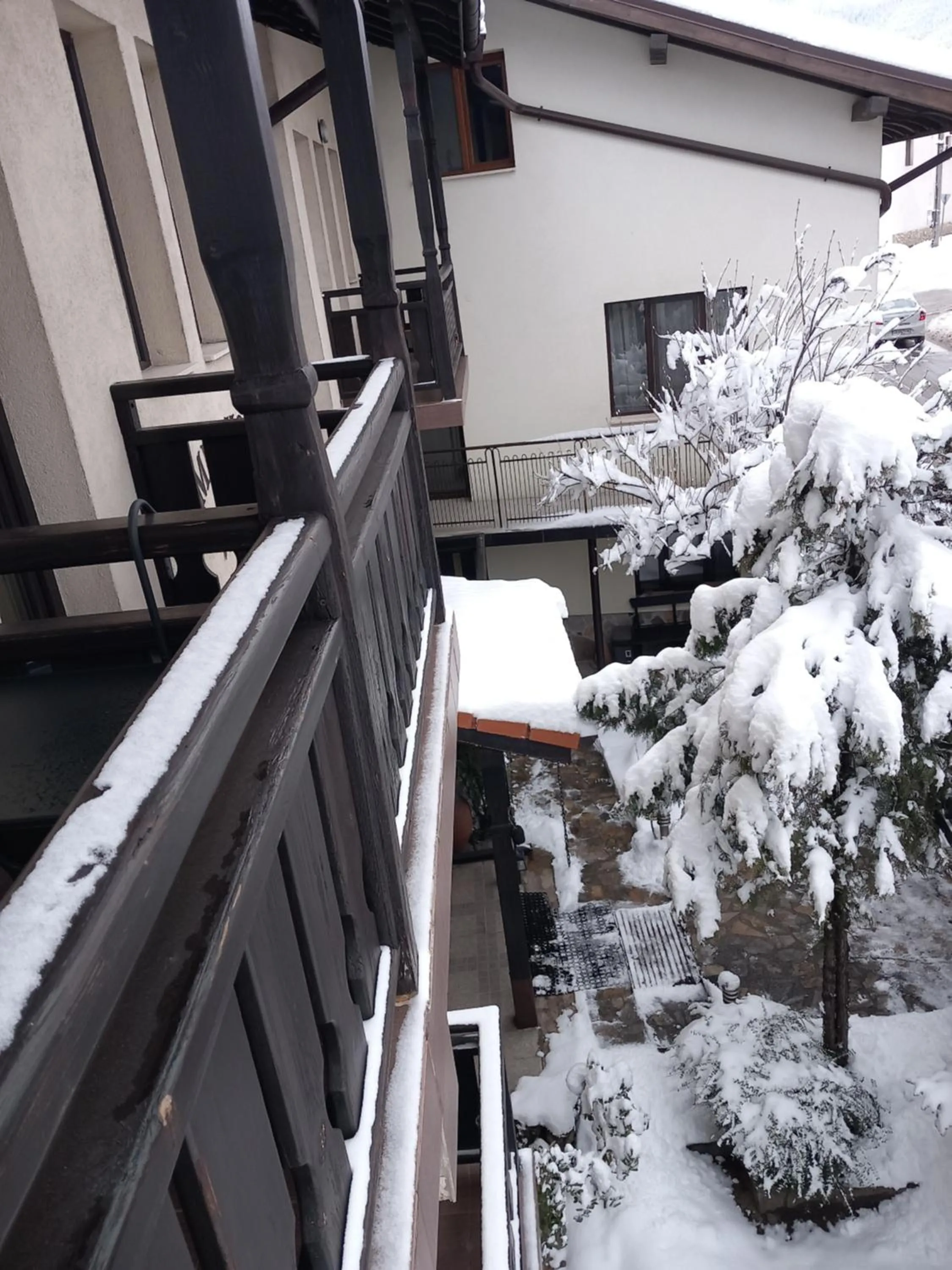 Guest house Skabrin