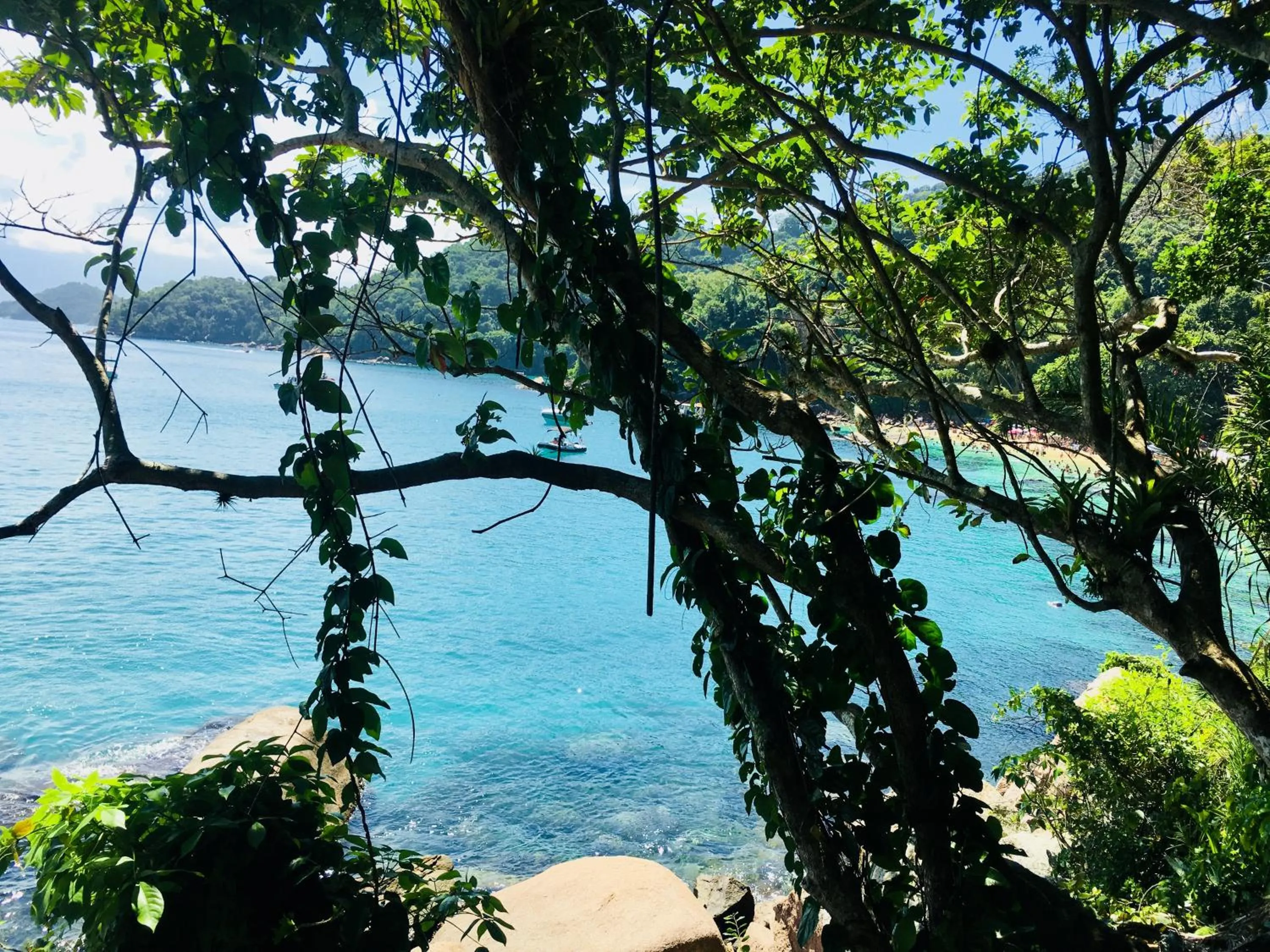 Natural landscape in Pousada Sobre As Ondas de Picinguaba