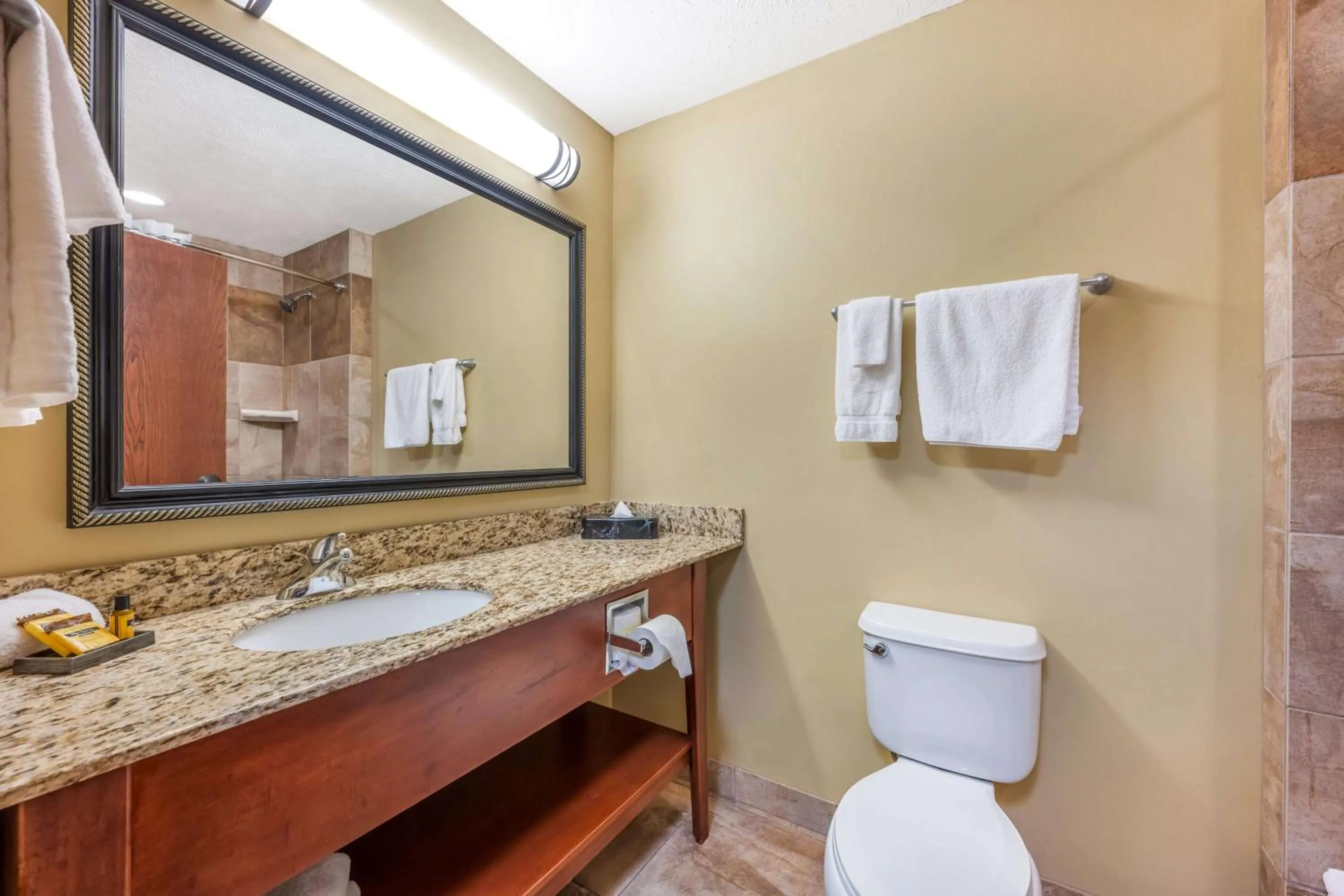 Bathroom in Best Western Plus Grand Island Inn and Suites