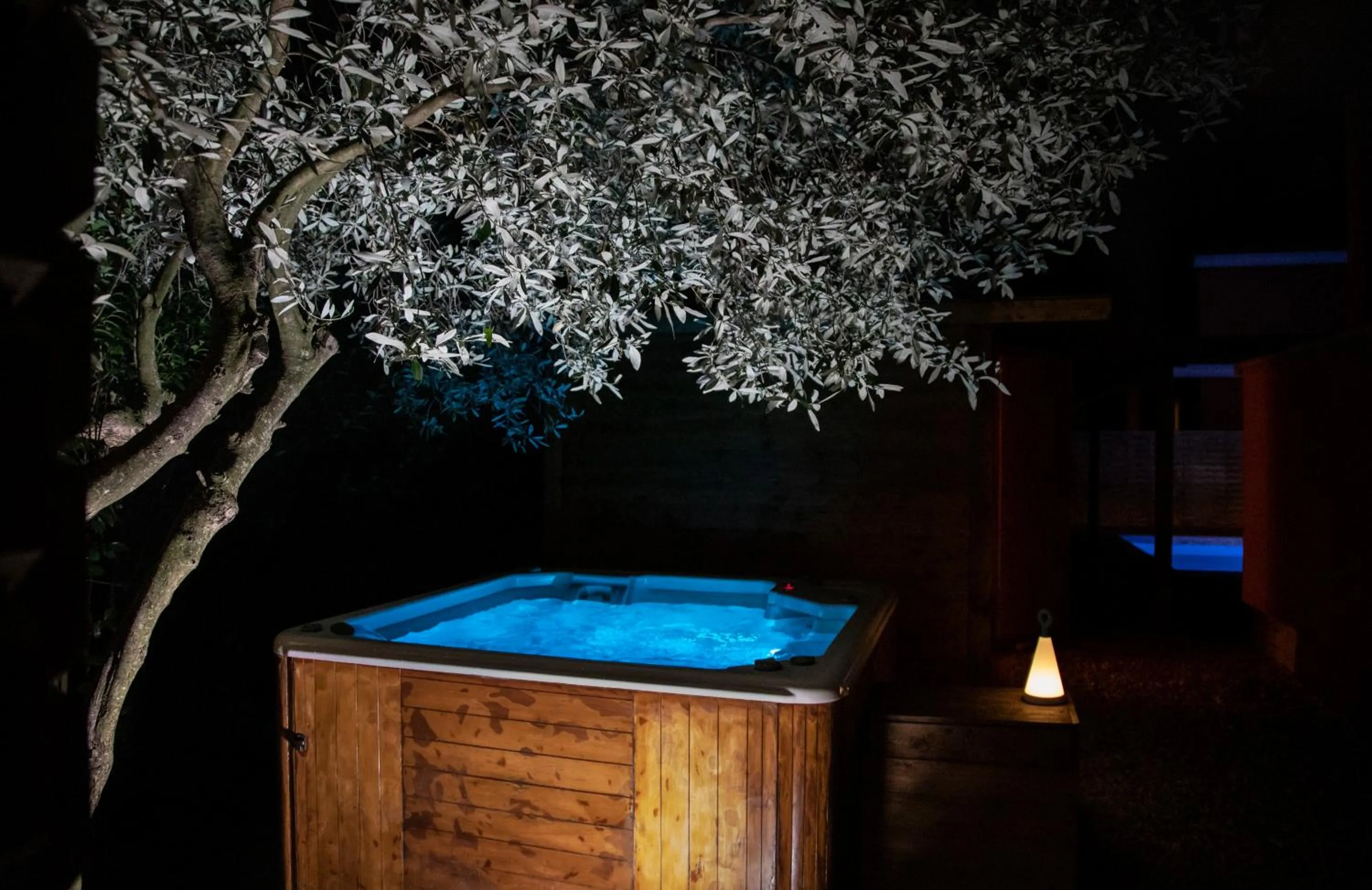 Night in Hotel Natura Vilanija