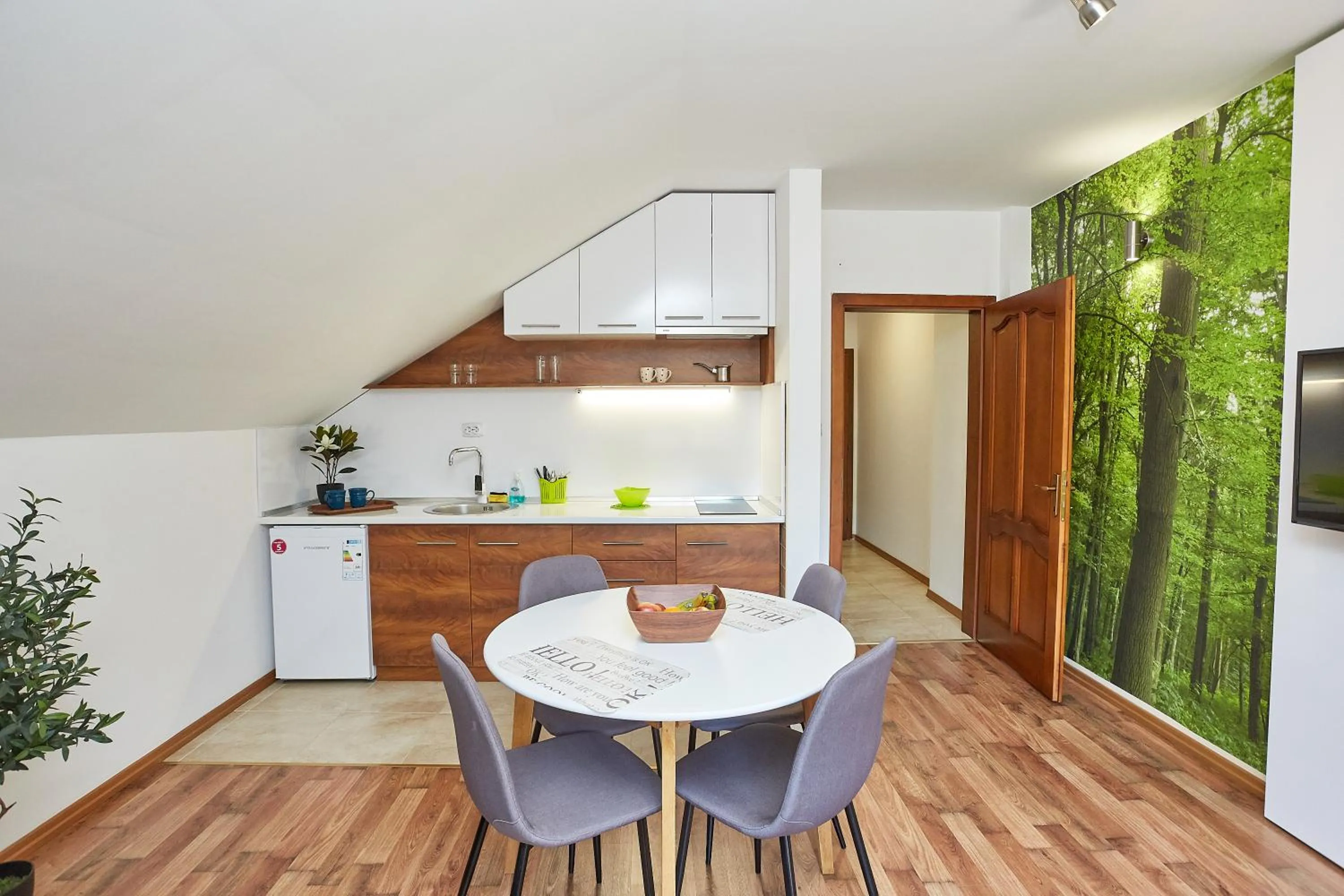 Kitchen or kitchenette in ŽUPAN apartmani